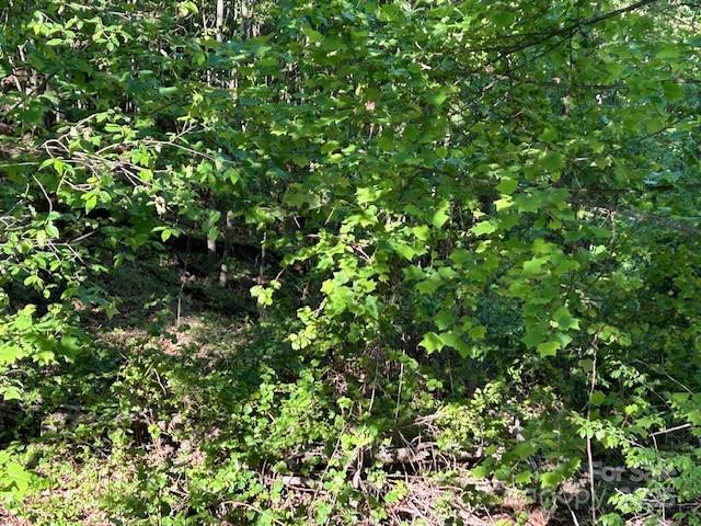 0 Arbra Mountain Way Property Photo 3