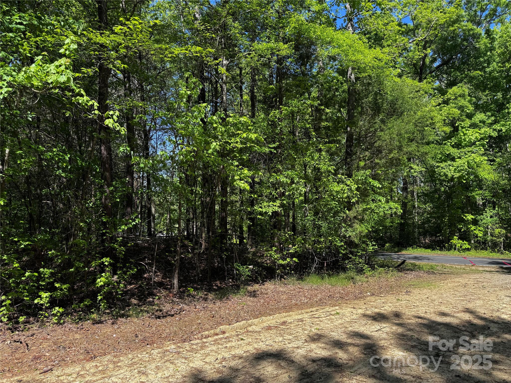0 Backwoods Lane Property Photo 9