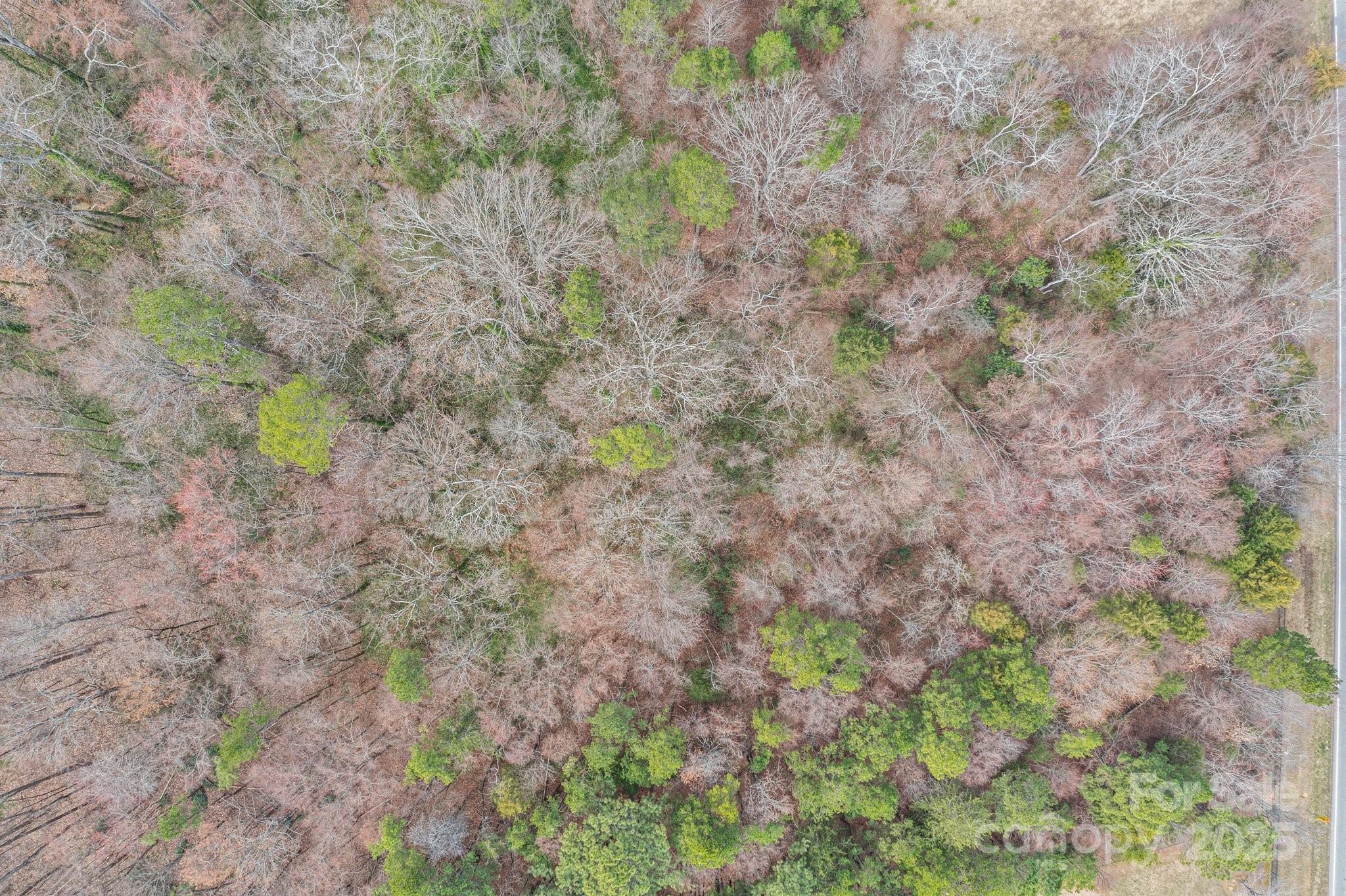 0 Oakridge Farm Highway Property Photo 7