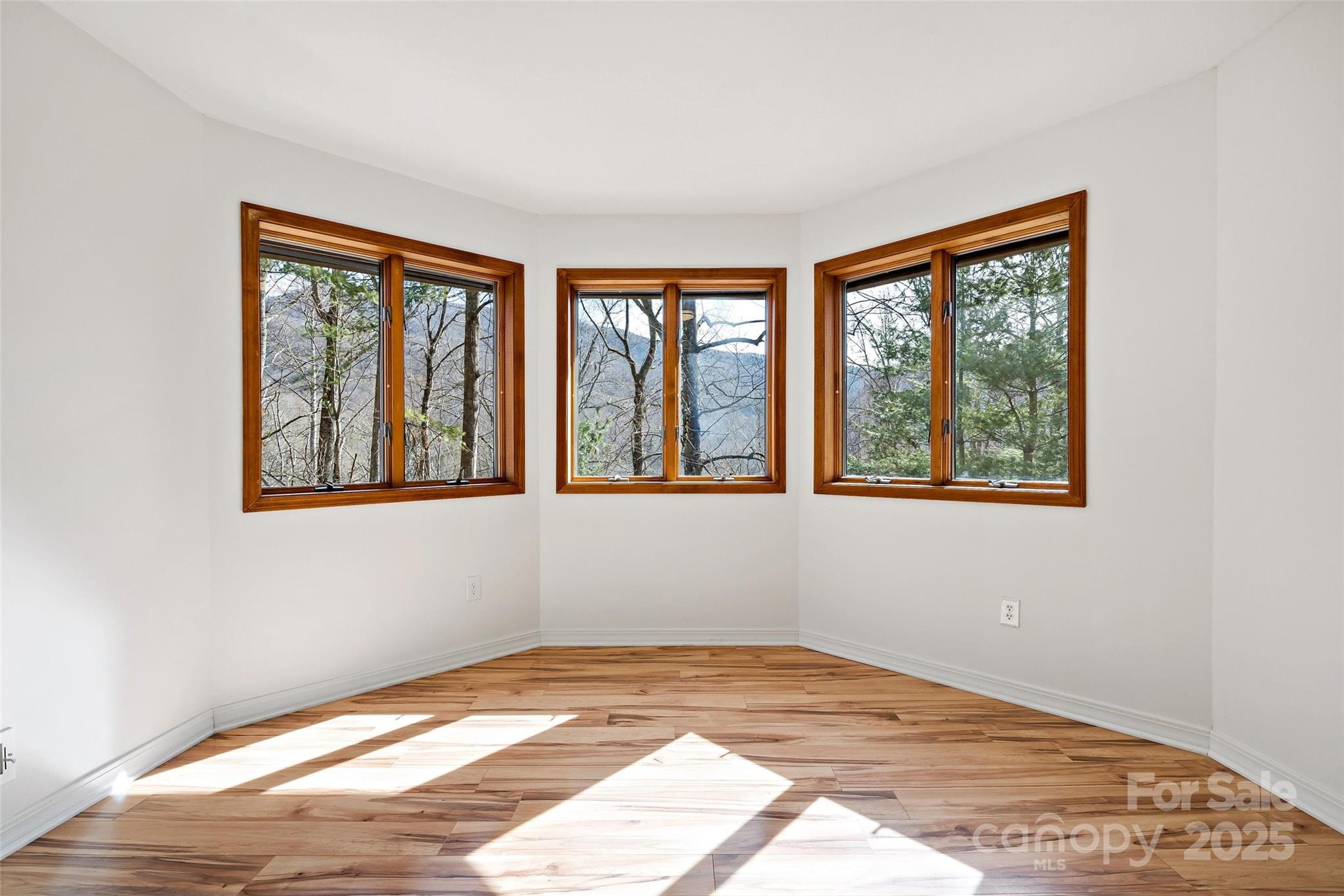249 Starlin Mountain Road Property Photo 31