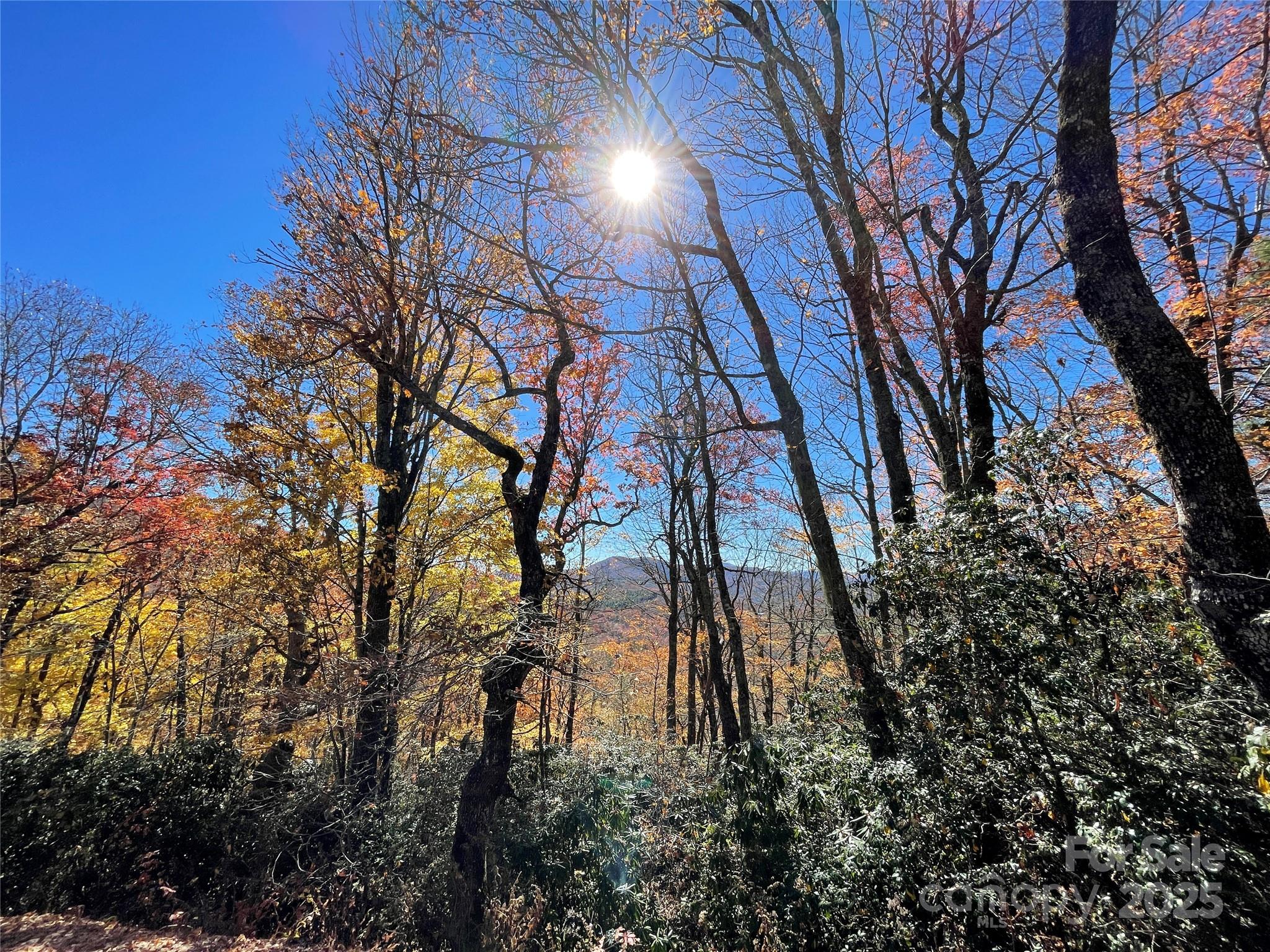 Lot 10 Shirley Pressley Road 10 Property Photo