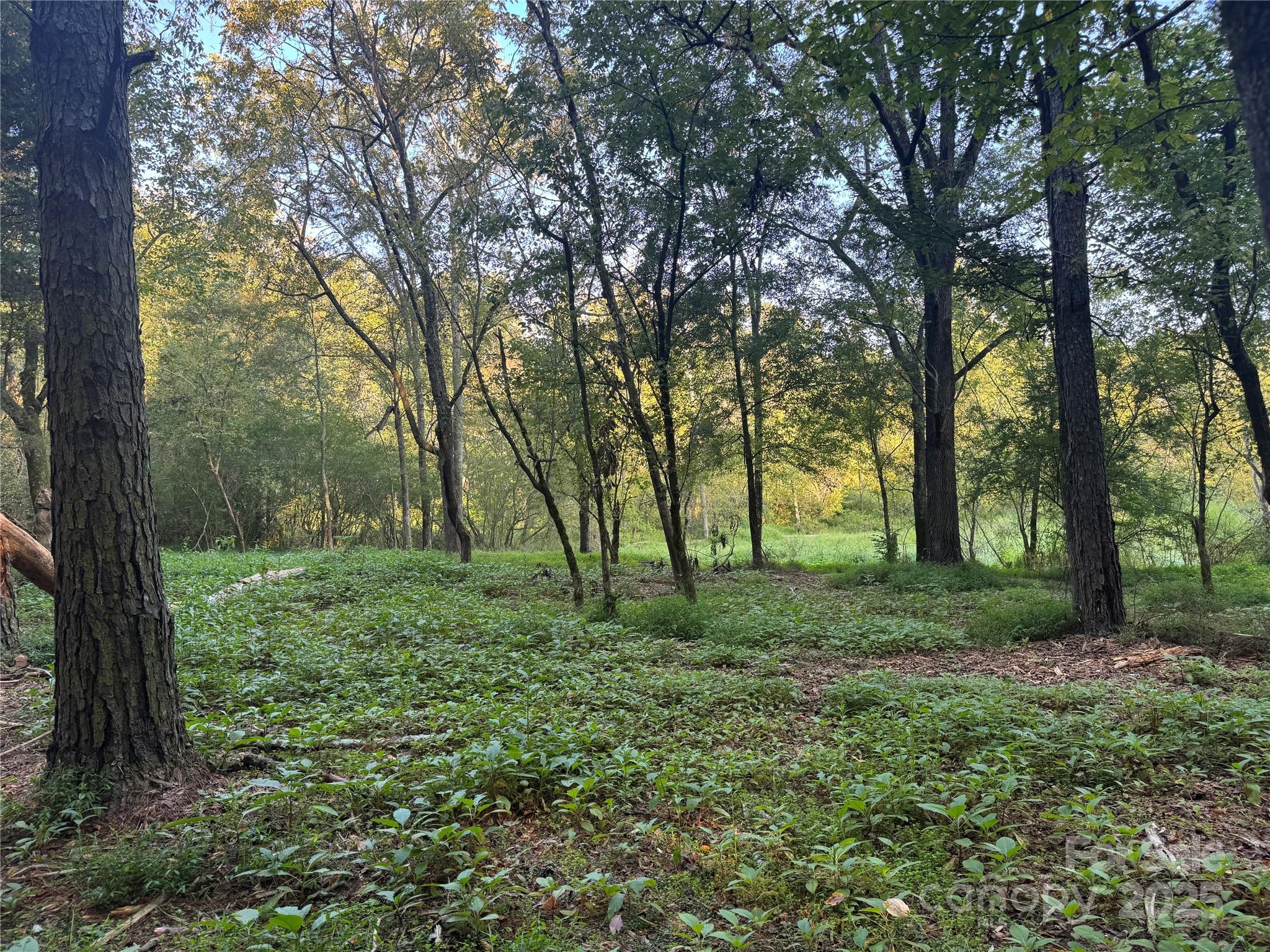 110 Serenity Creek Drive Property Photo 2