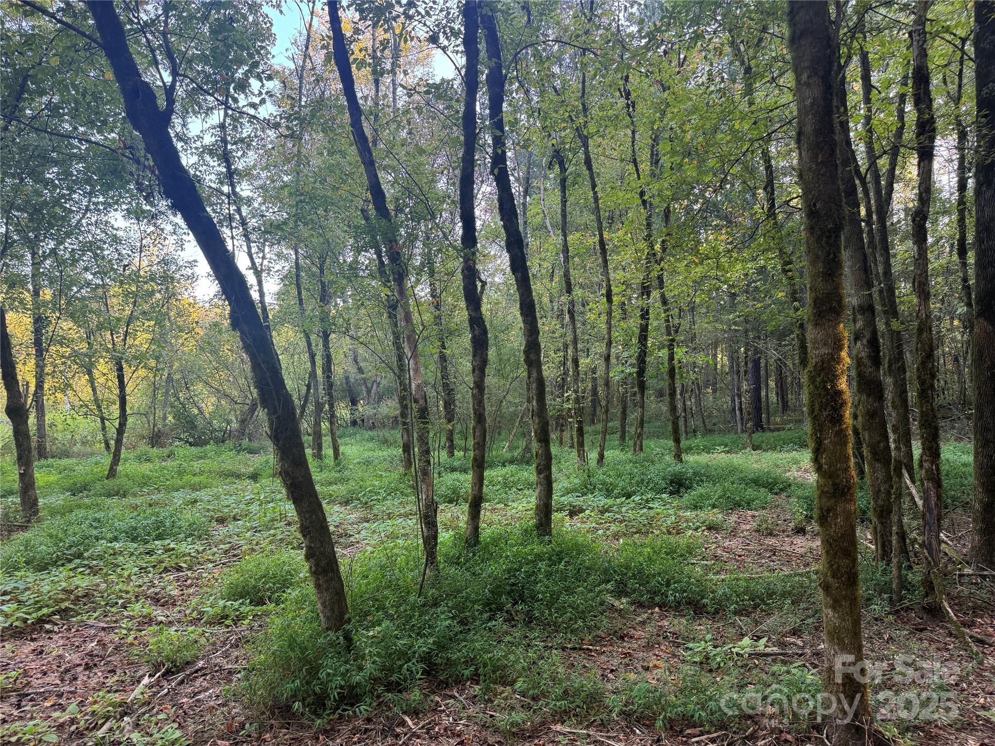 110 Serenity Creek Drive Property Photo 9