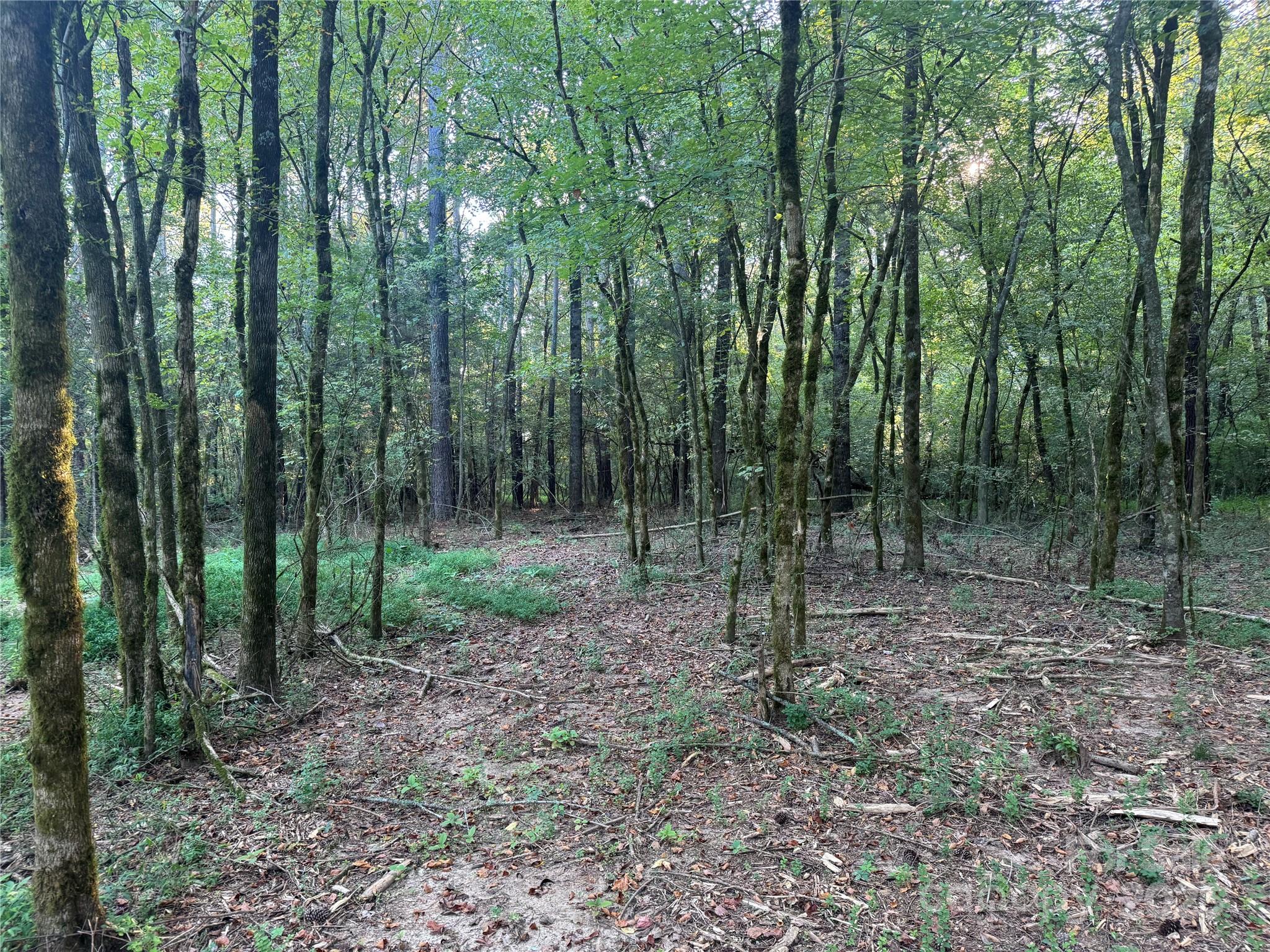 110 Serenity Creek Drive Property Photo 10