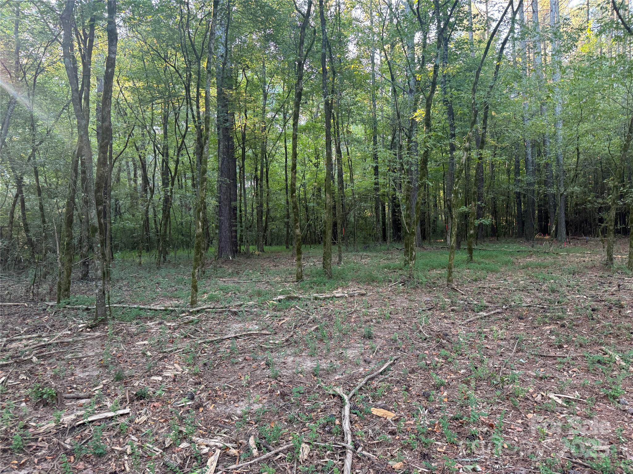 110 Serenity Creek Drive Property Photo 11