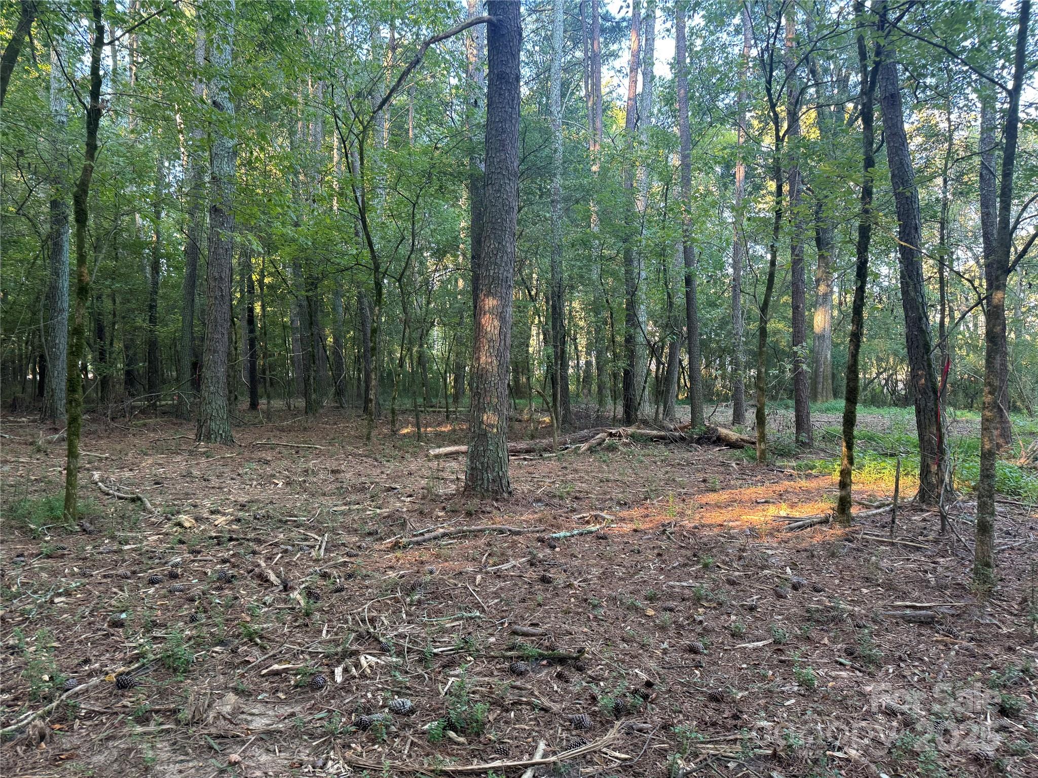 110 Serenity Creek Drive Property Photo 12