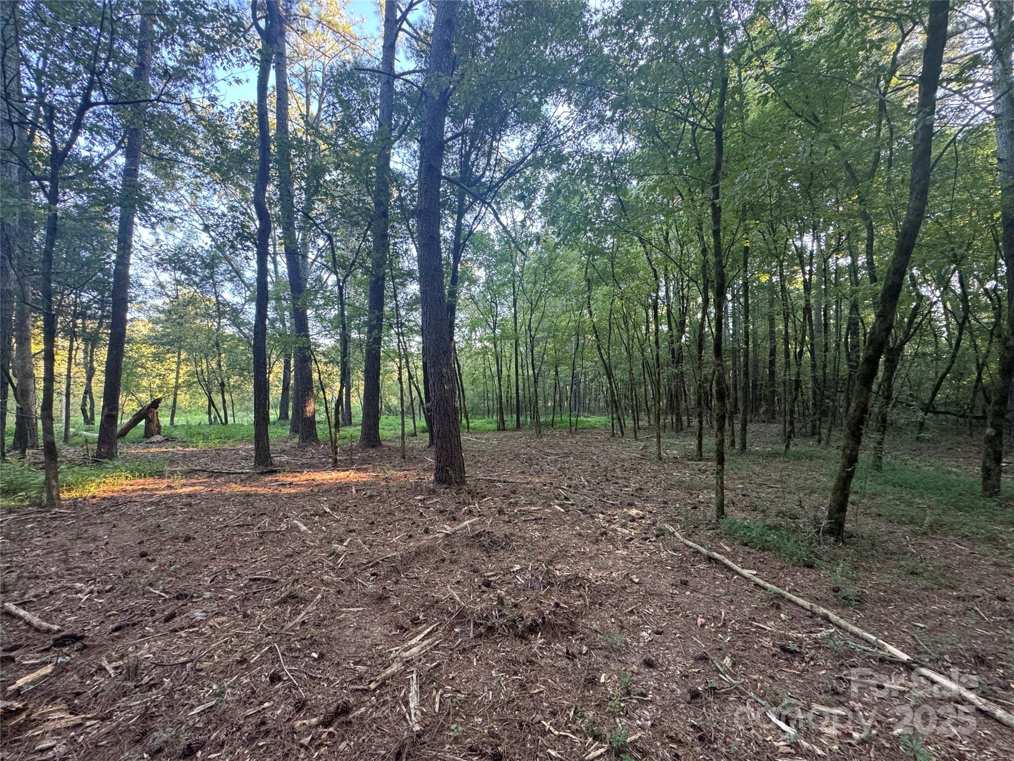 110 Serenity Creek Drive Property Photo 13