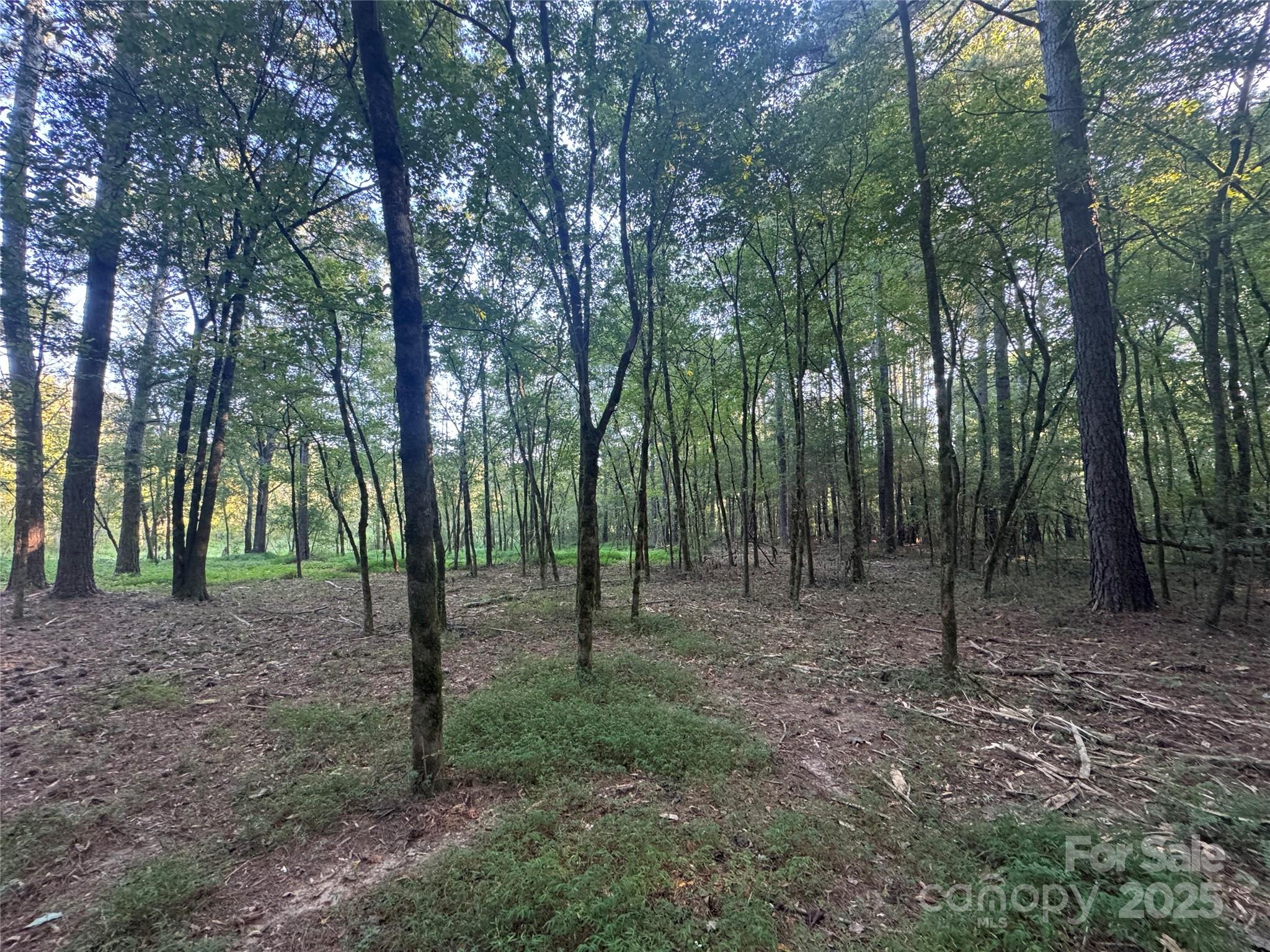 110 Serenity Creek Drive Property Photo 14