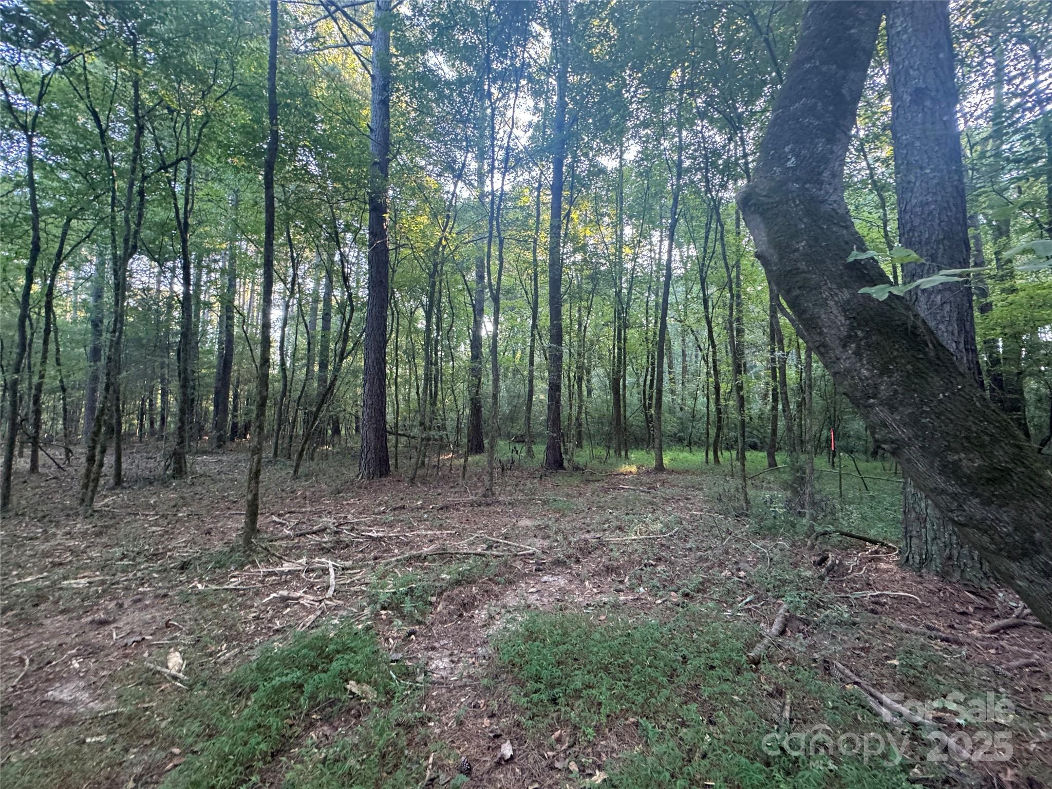 110 Serenity Creek Drive Property Photo 15