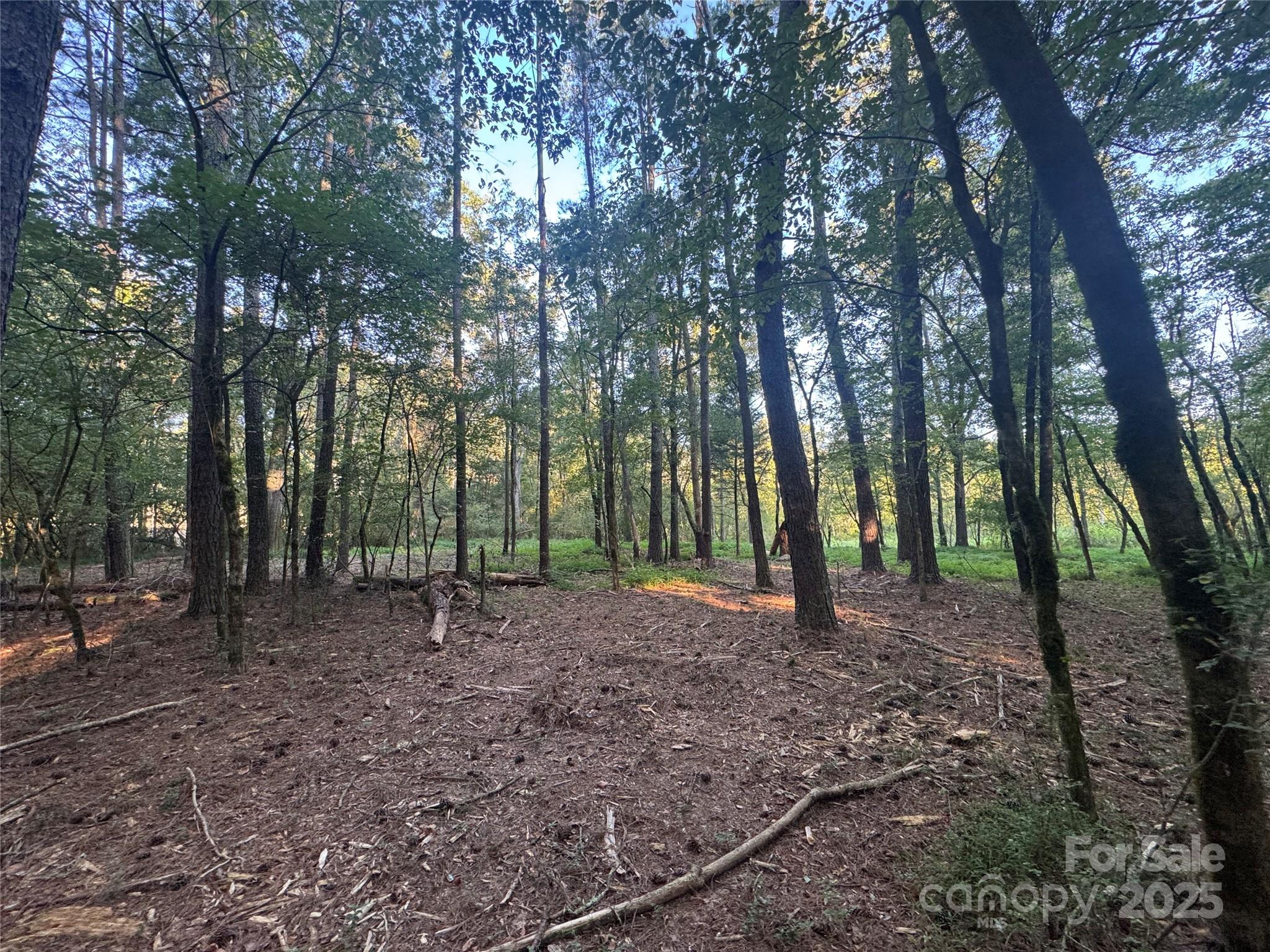 110 Serenity Creek Drive Property Photo 16