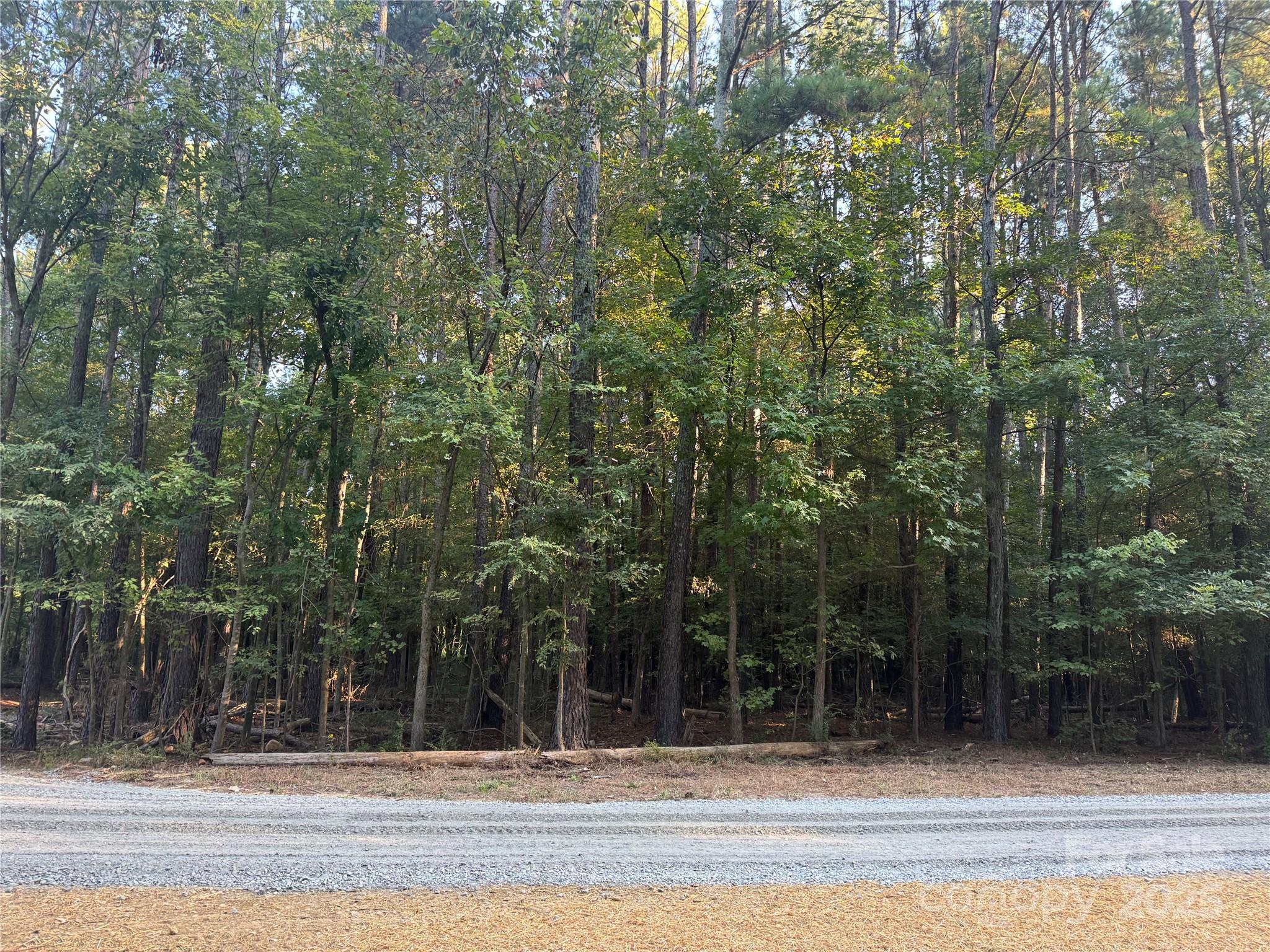 110 Serenity Creek Drive Property Photo 17