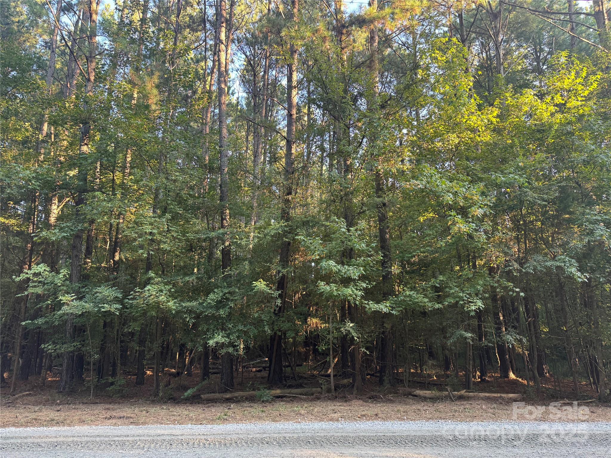 110 Serenity Creek Drive Property Photo 18