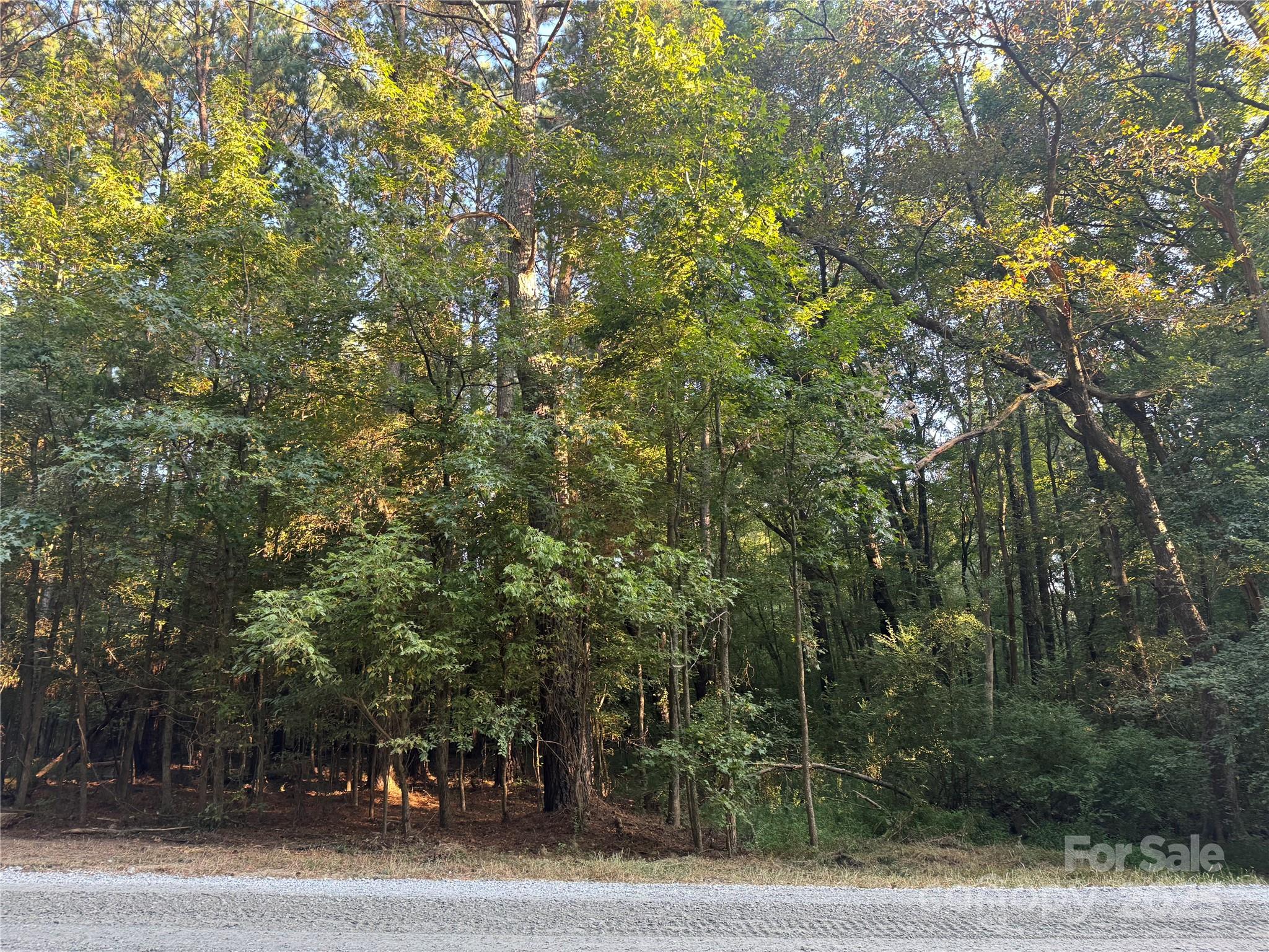 110 Serenity Creek Drive Property Photo 19