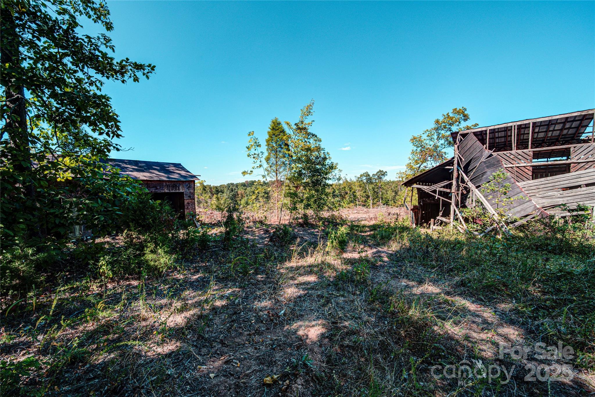 0 Carriage Road Property Photo 8
