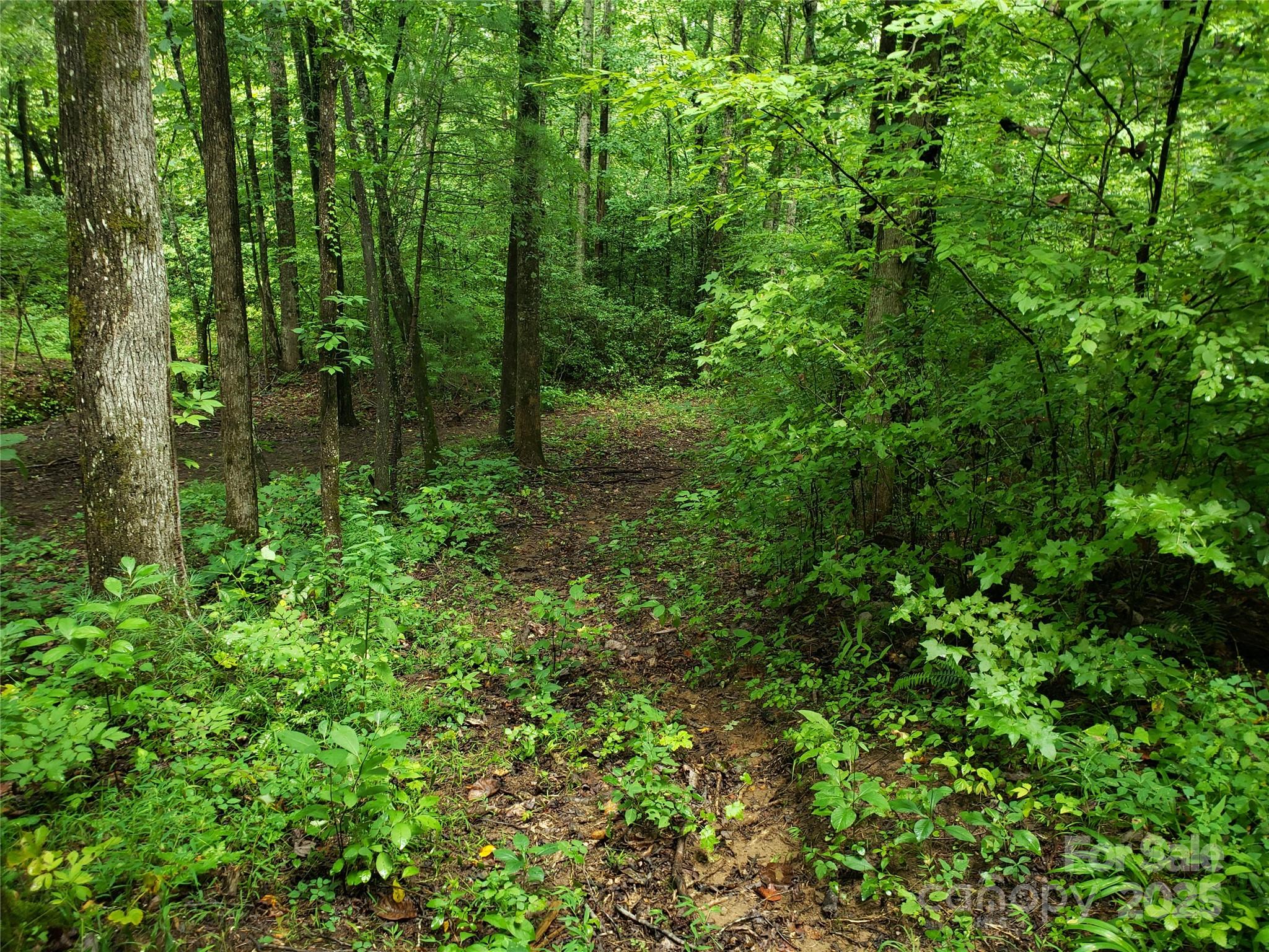 00 Luckadoo Mountain Road Property Photo