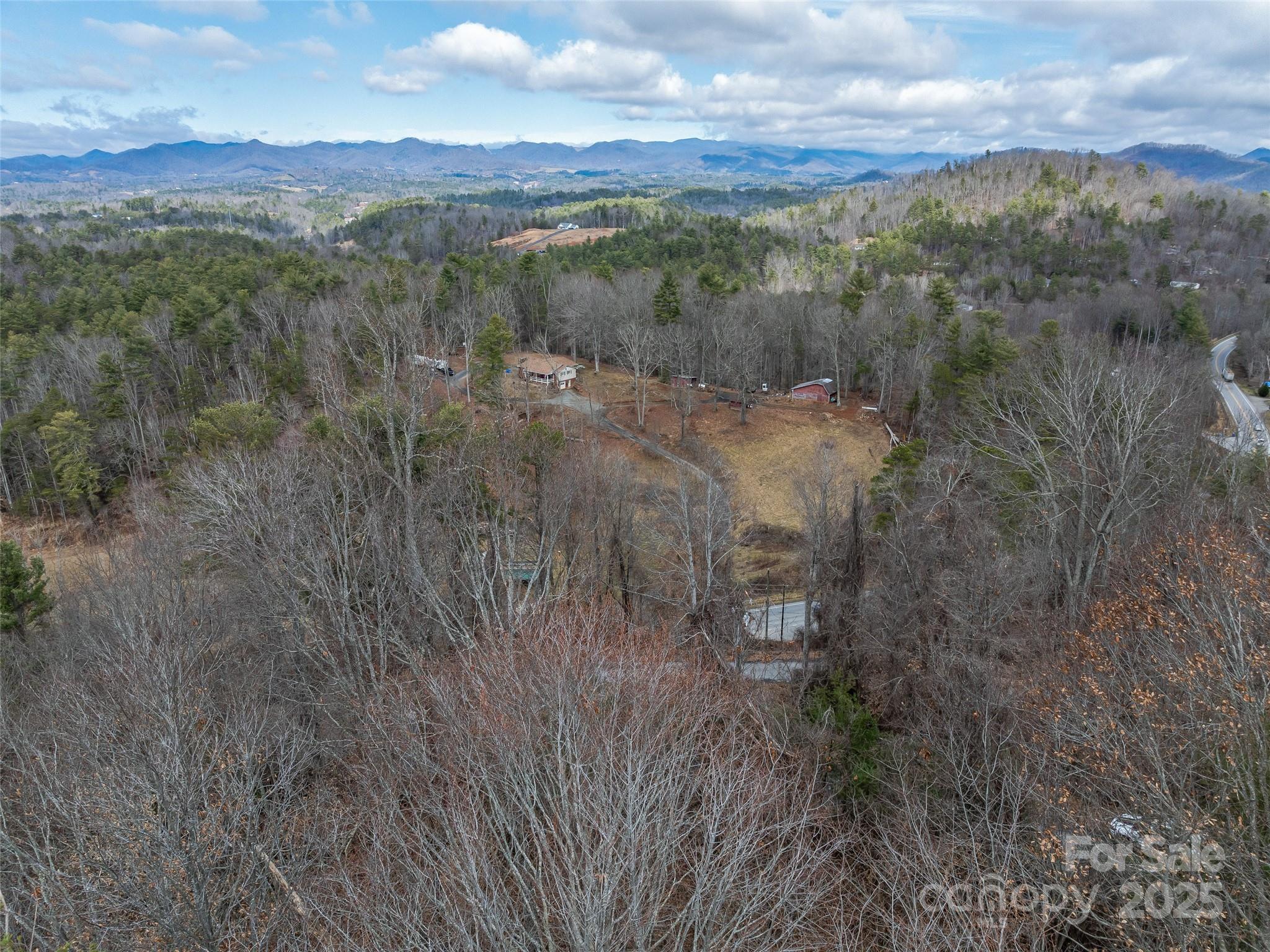 99999 Barnardsville Highway Property Photo