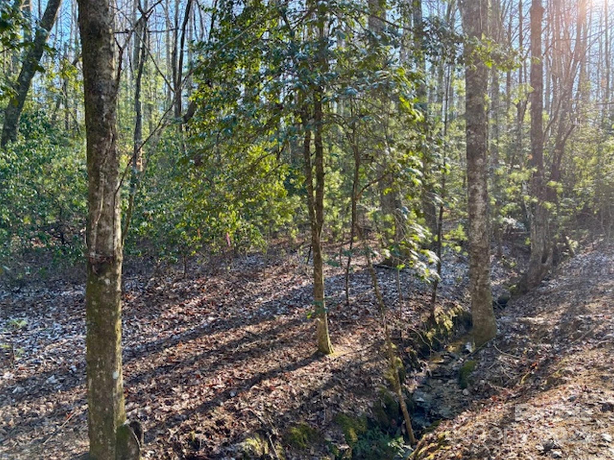 Blackberry Cove Real Estate Listings Main Image