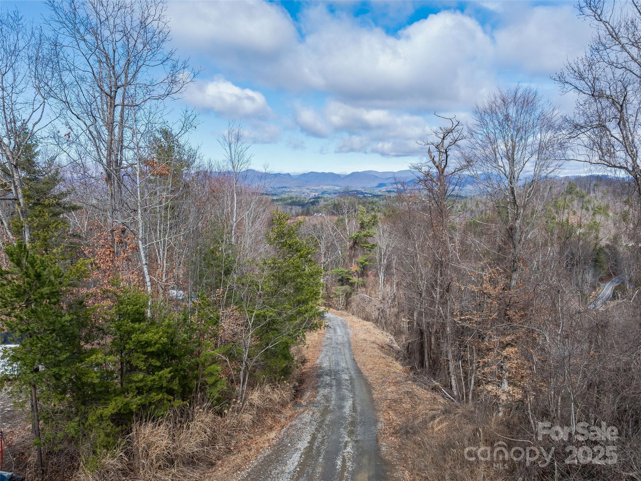 99999 -2 Barnardsville Highway Property Photo