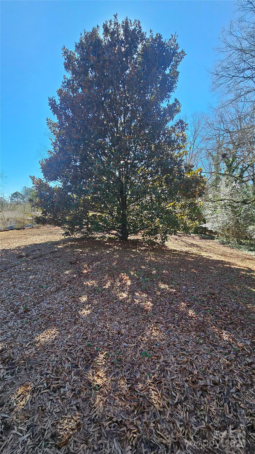 1116 Medlin Road Property Photo 14