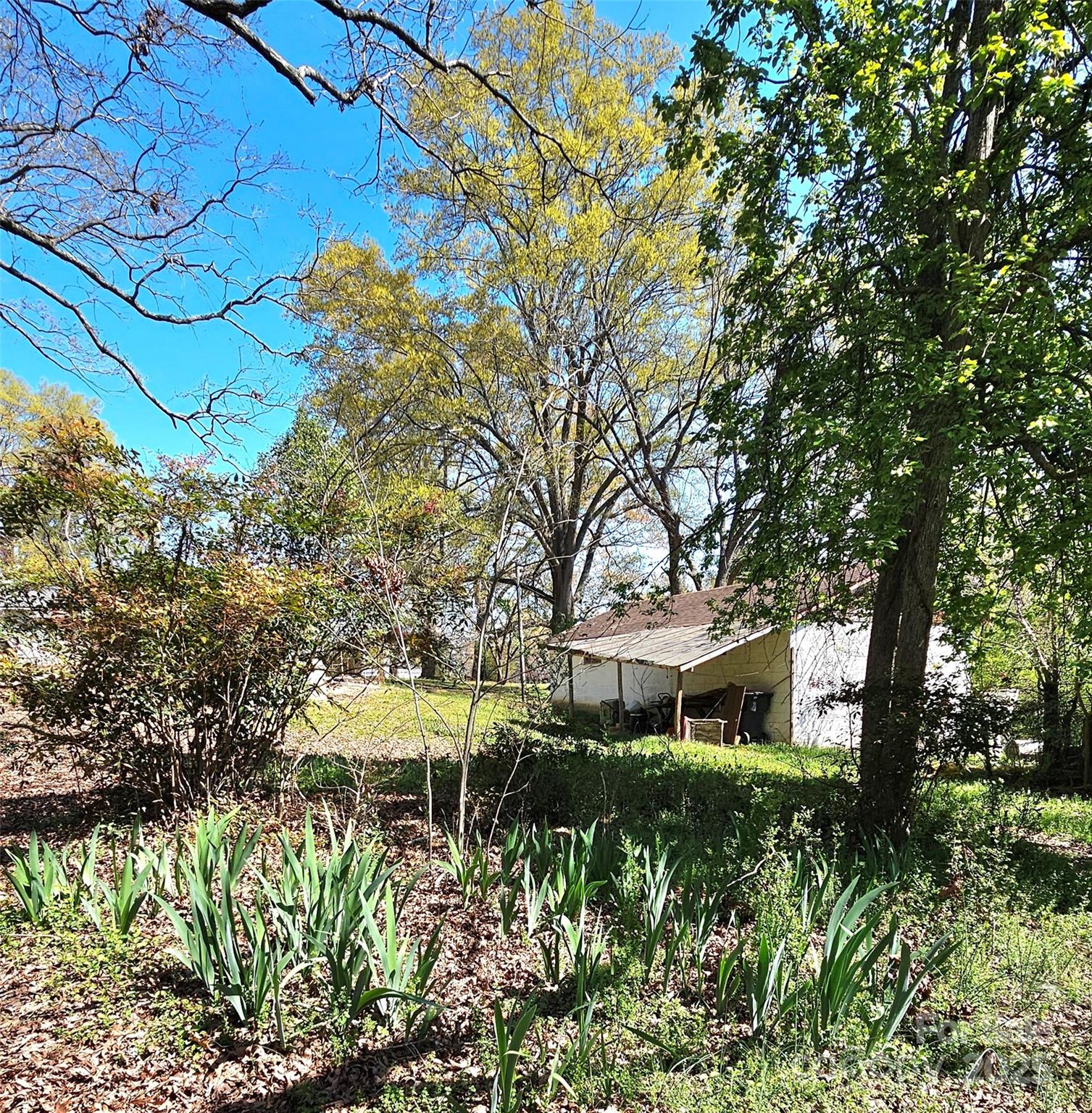 1116 Medlin Road Property Photo 19