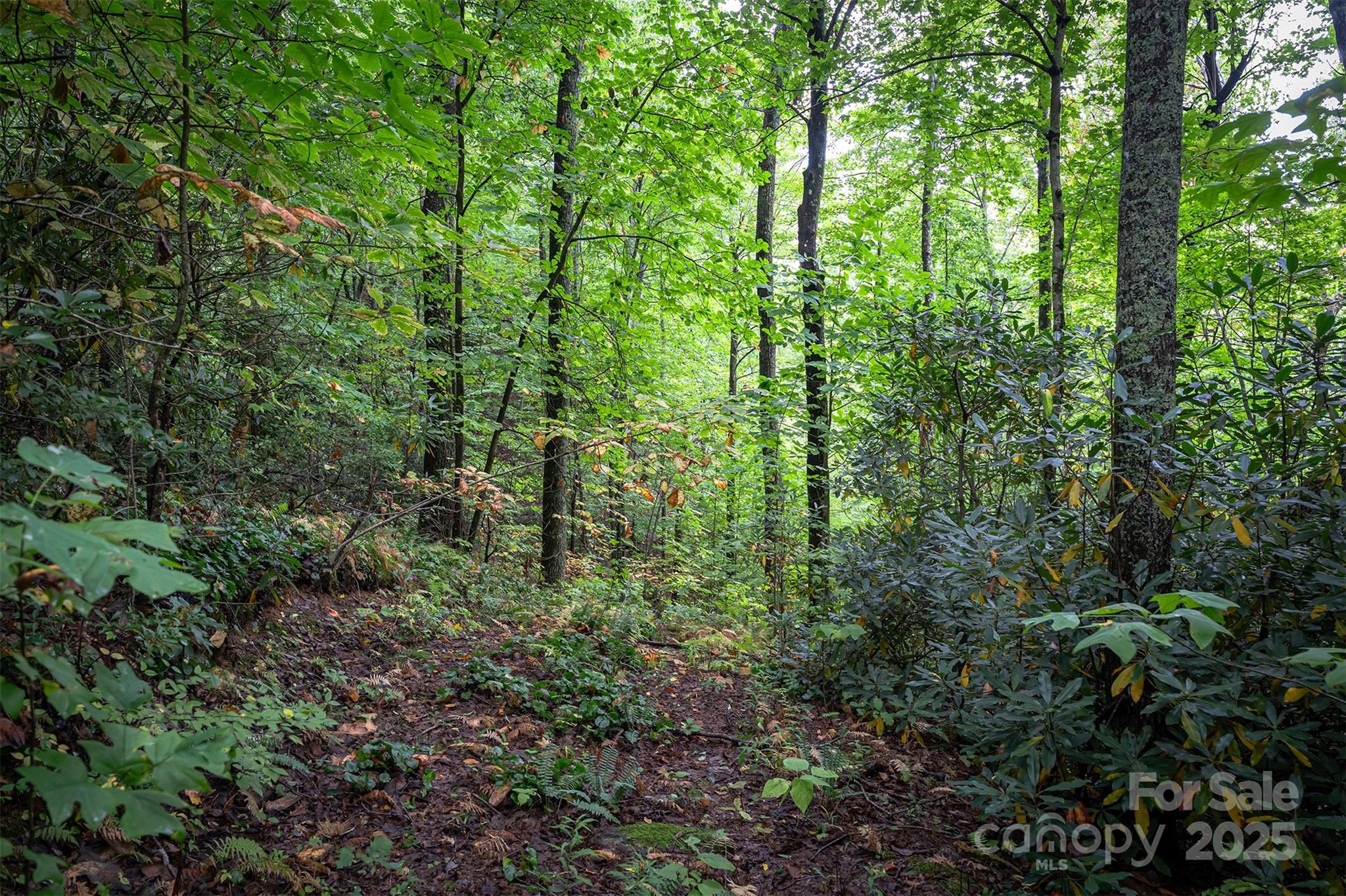 66 Sisters View Drive 159 Property Photo 13