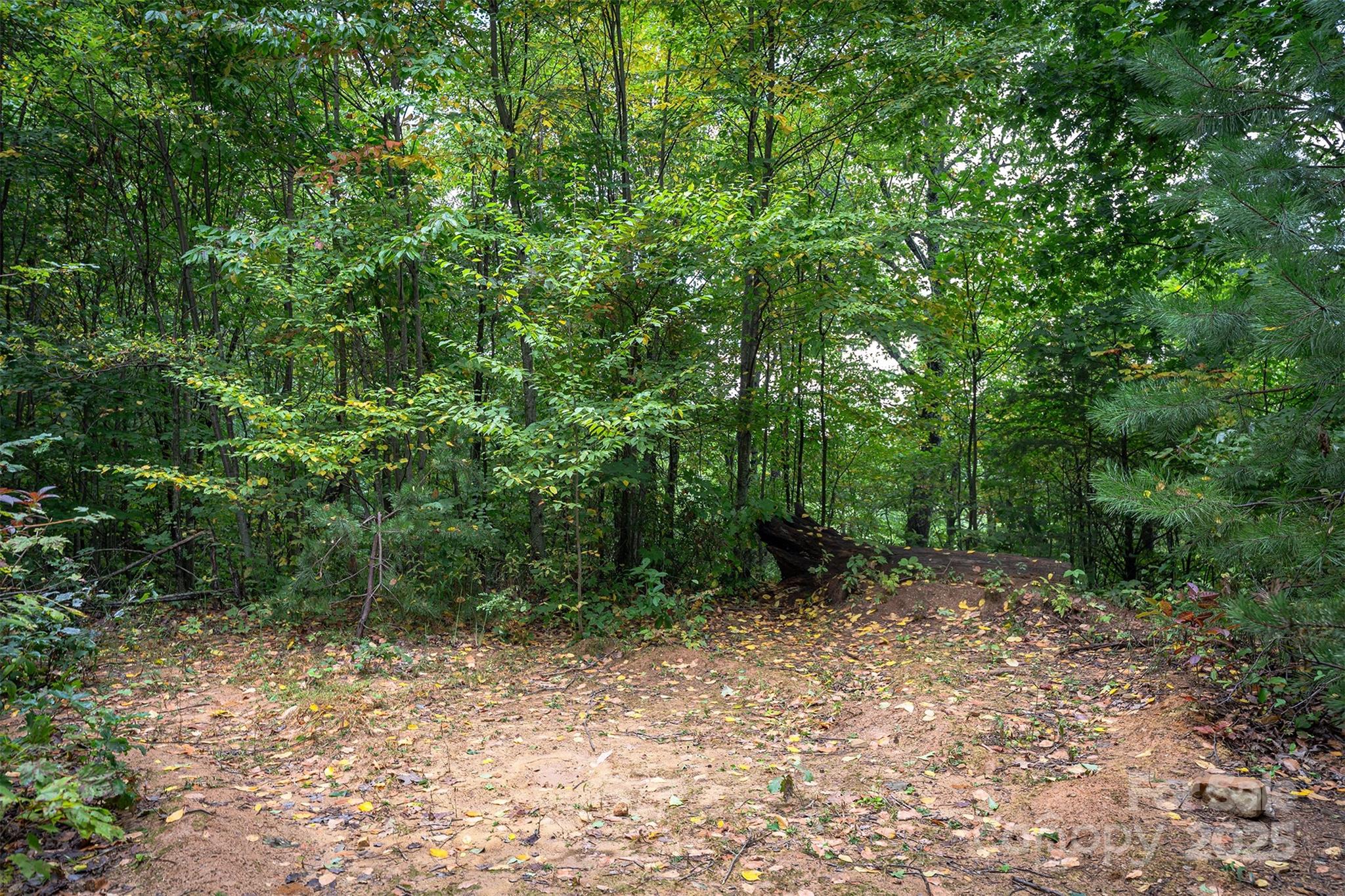 66 Sisters View Drive 159 Property Photo 17