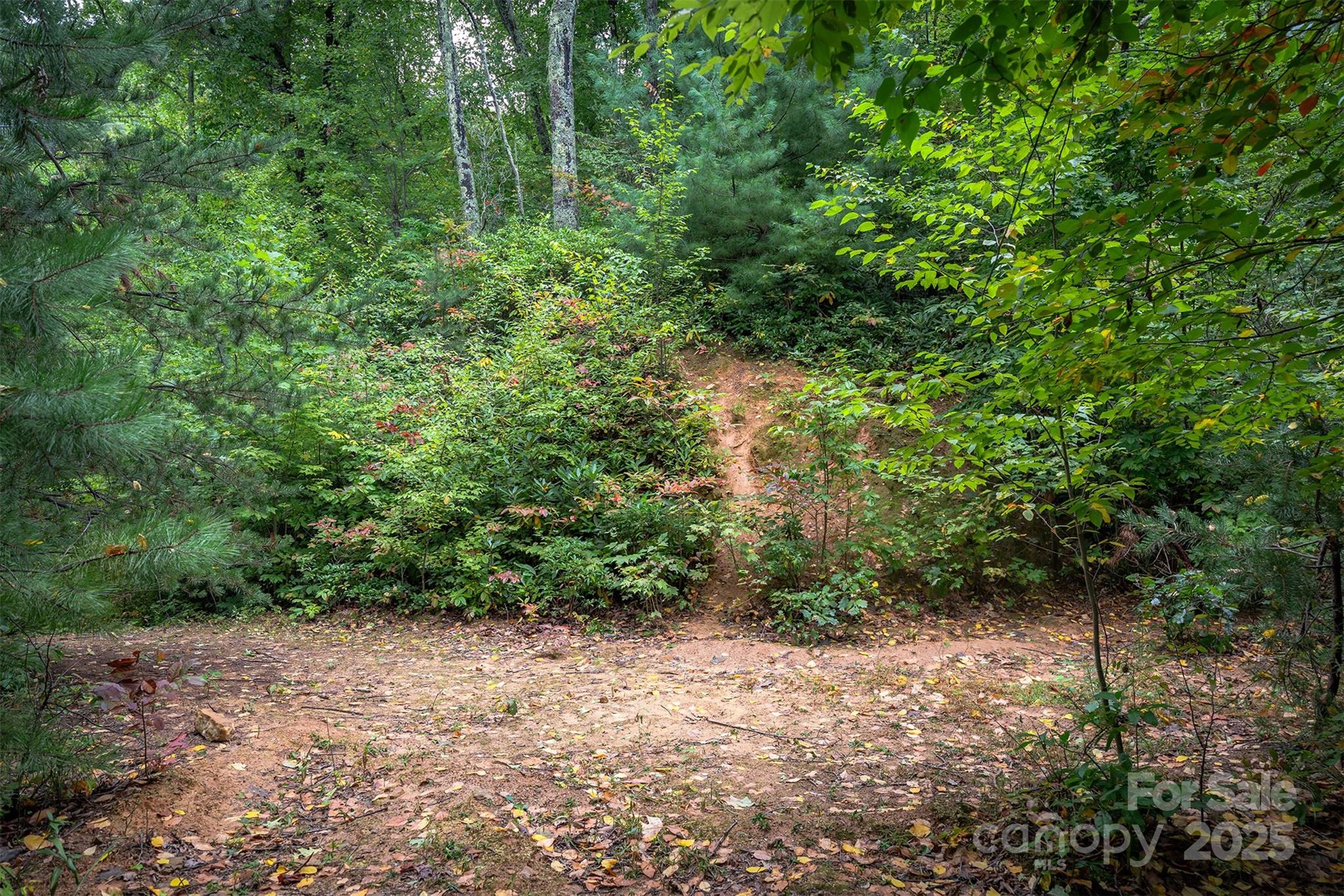 66 Sisters View Drive 159 Property Photo 18