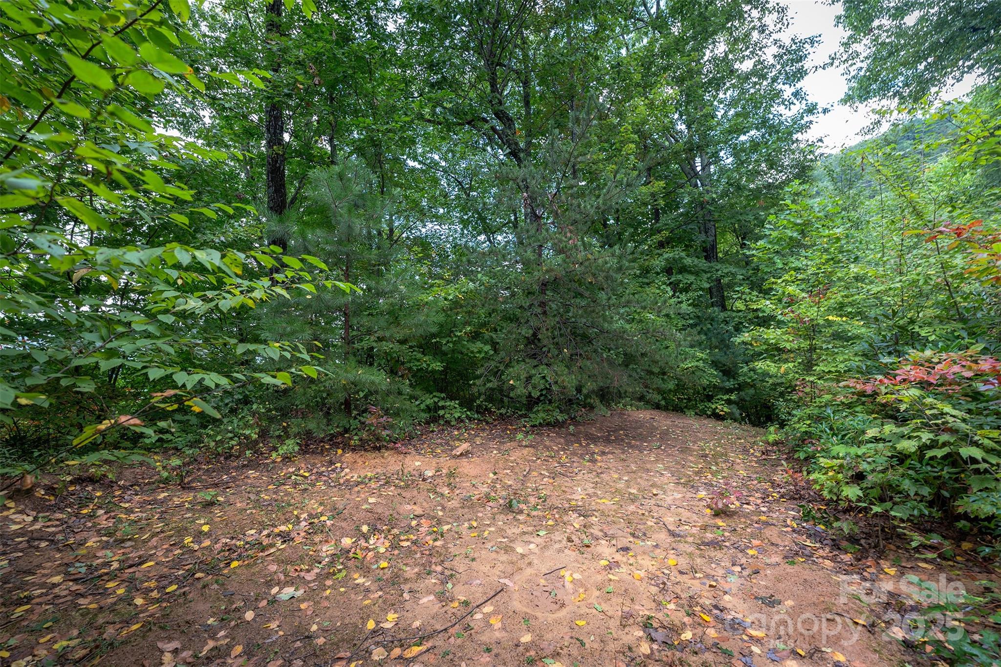 66 Sisters View Drive 159 Property Photo 19