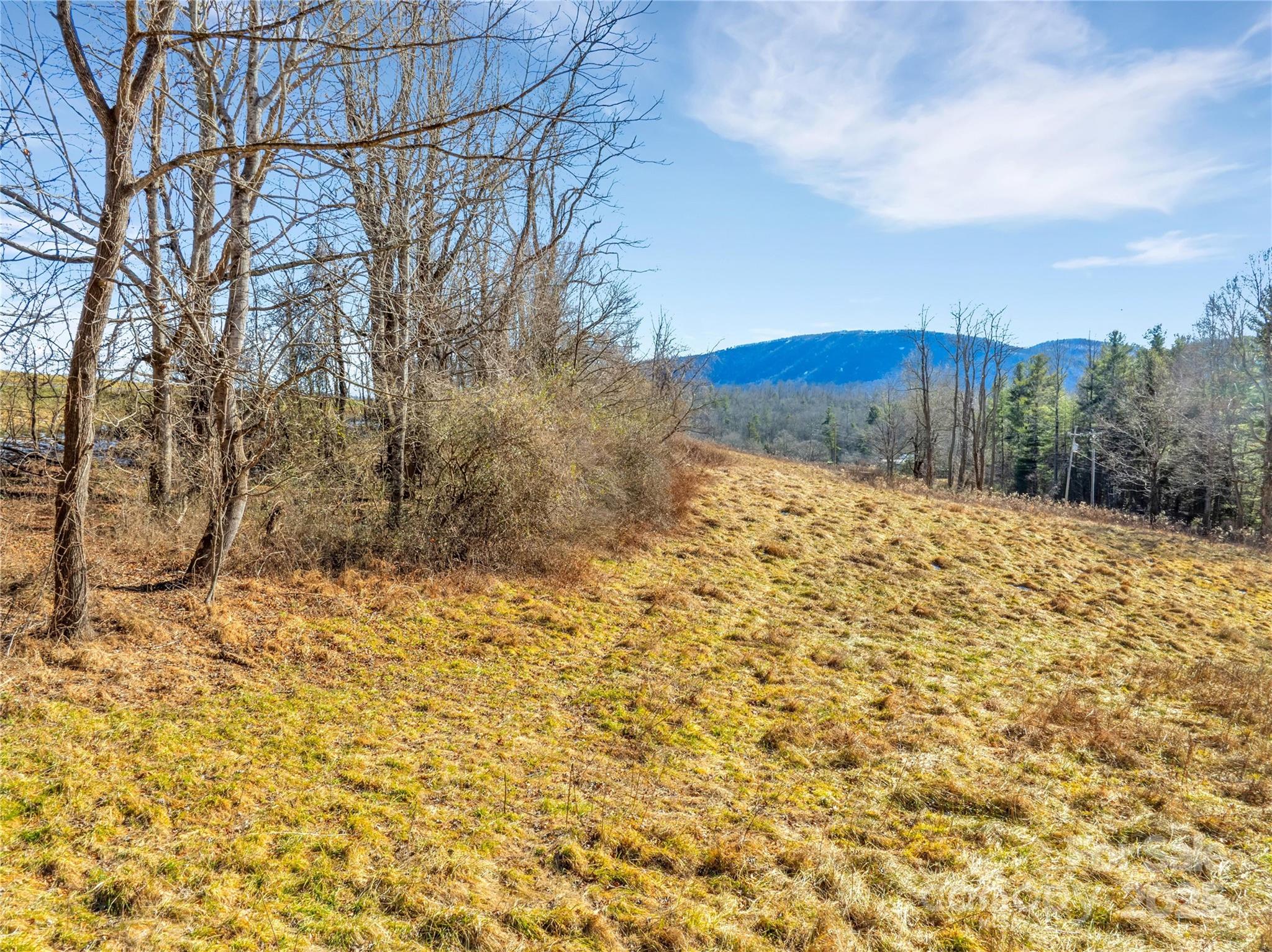 94 Ebenezer Trail 3 Property Photo