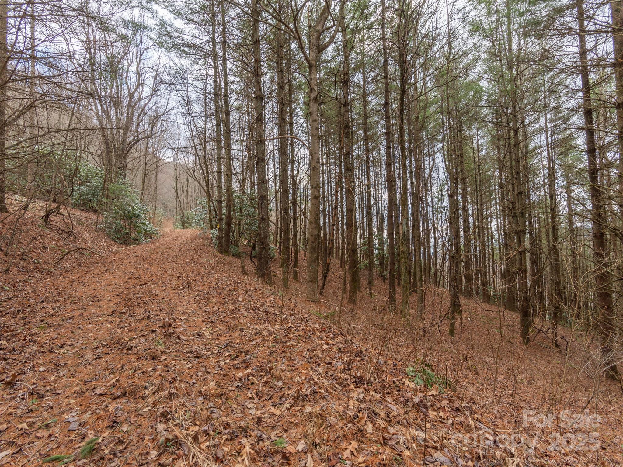 00 Bald Creek Road Property Photo 1