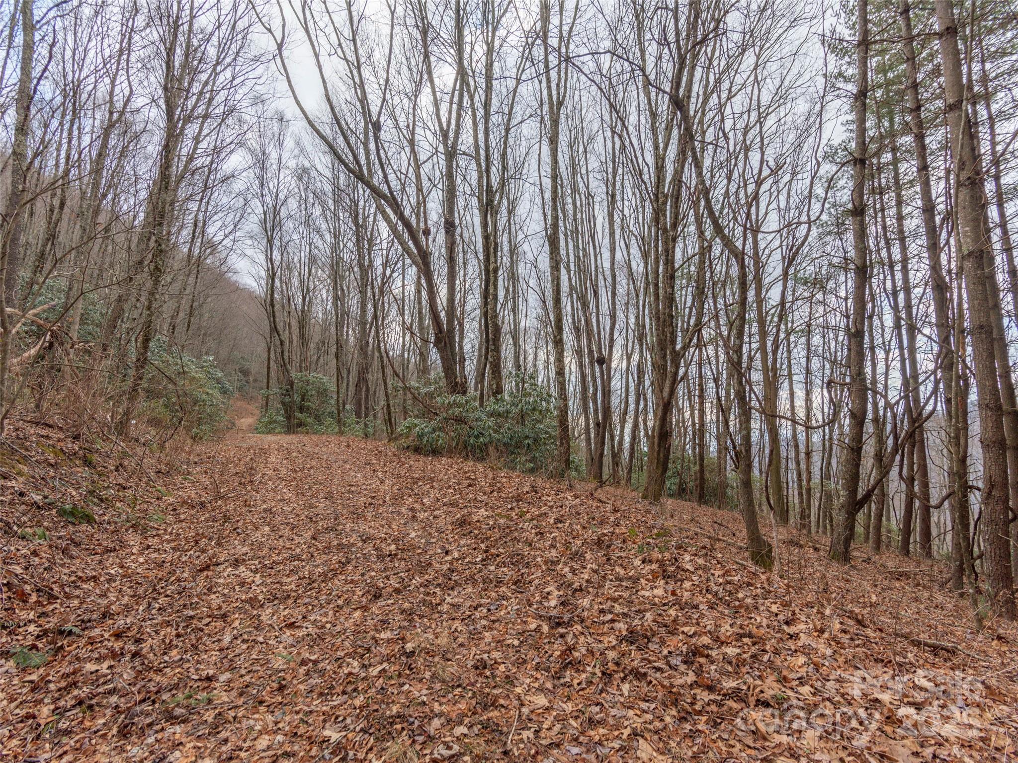 00 Bald Creek Road Property Photo 2