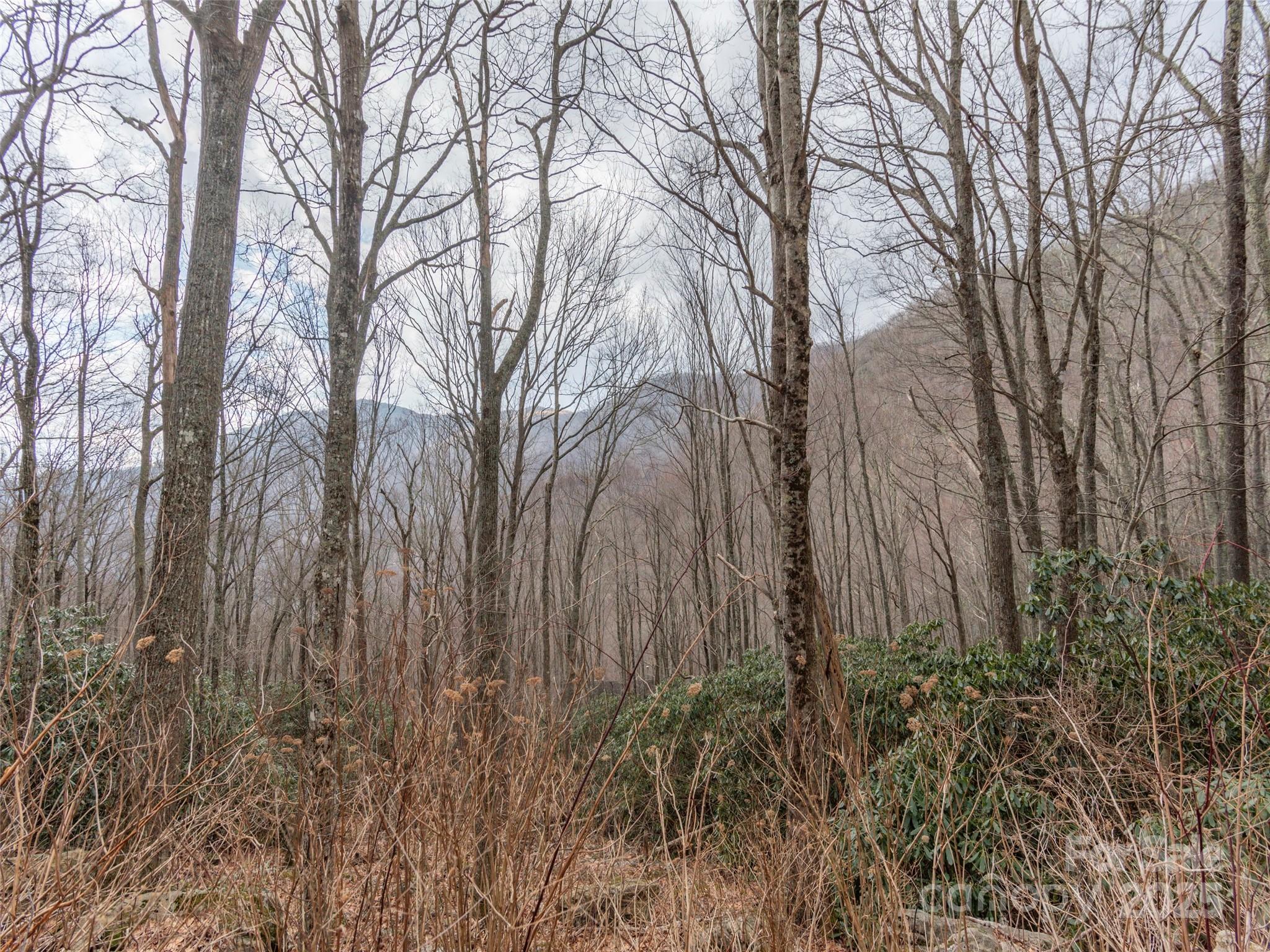00 Bald Creek Road Property Photo 3