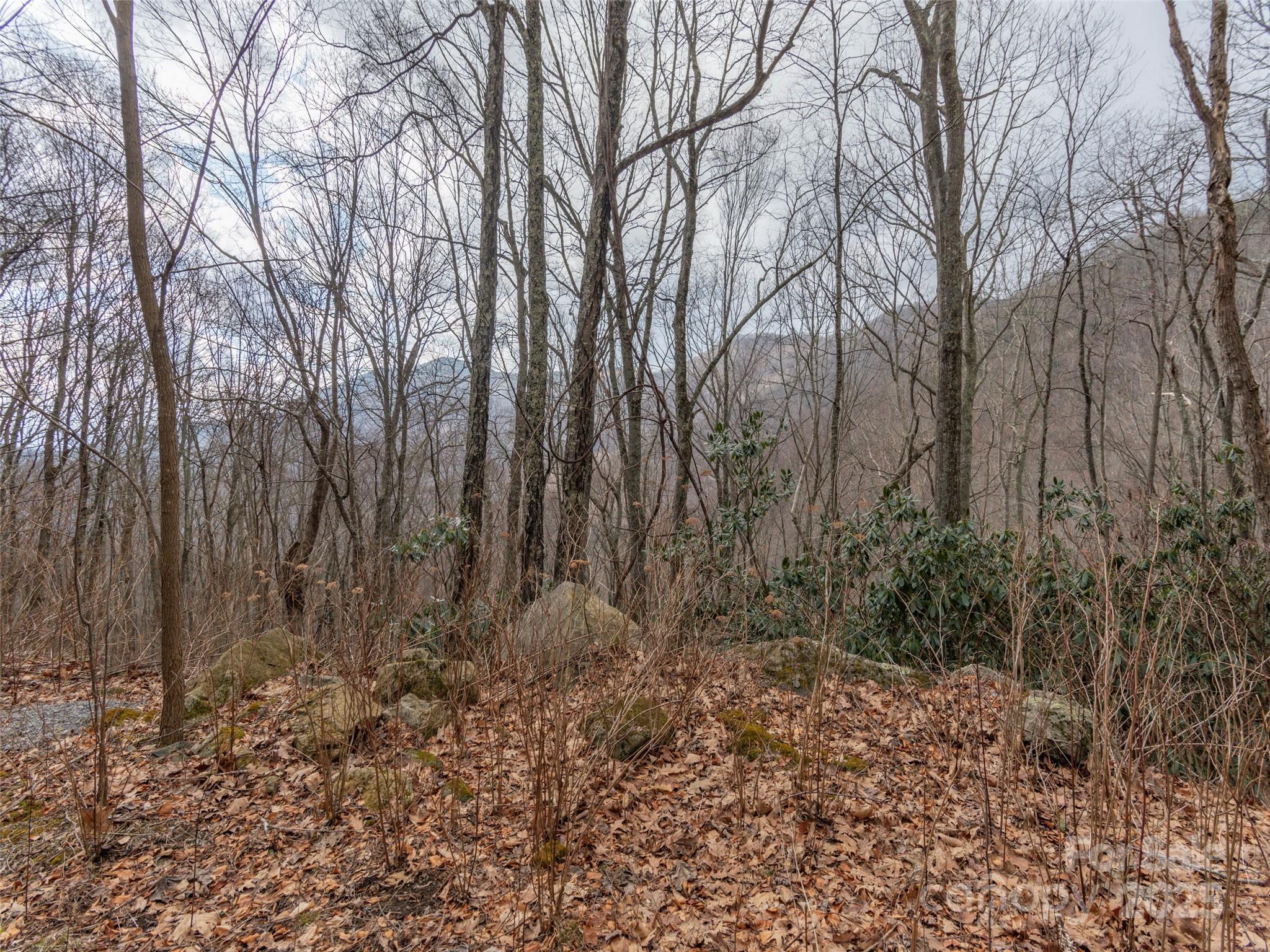 00 Bald Creek Road Property Photo 4