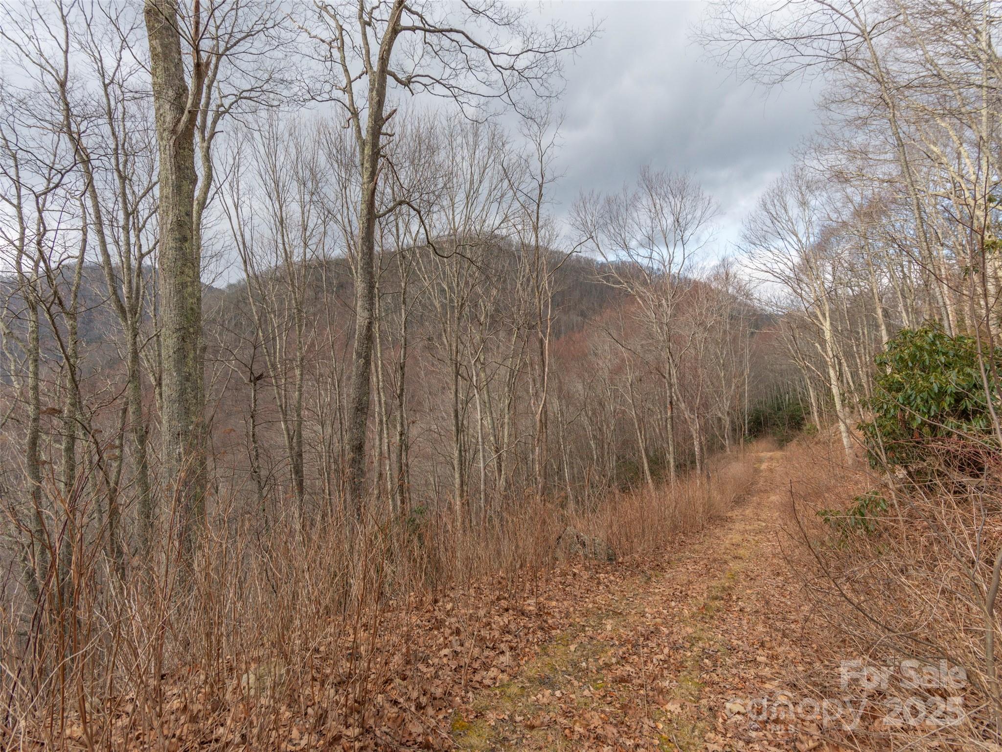 00 Bald Creek Road Property Photo 5
