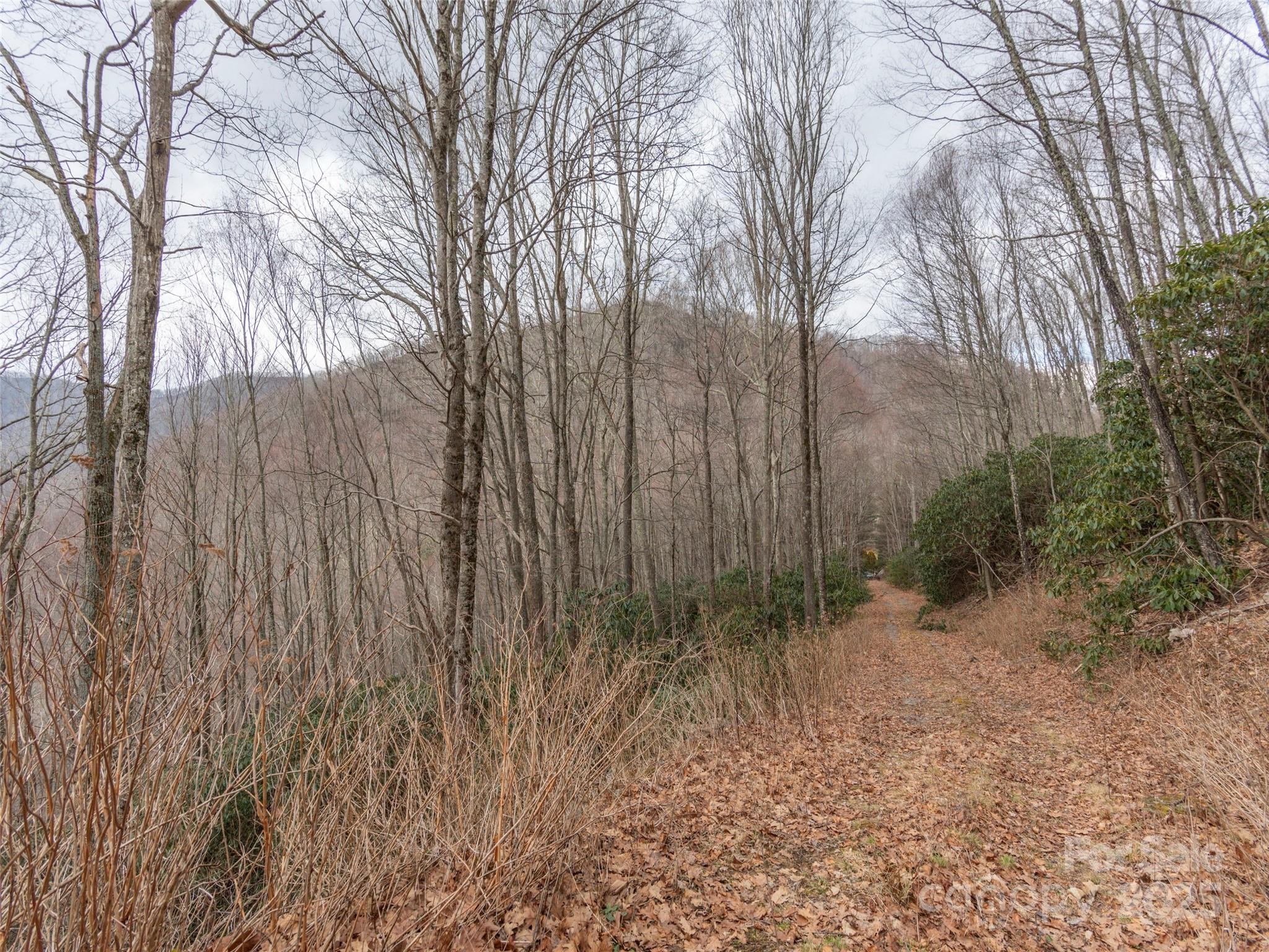 00 Bald Creek Road Property Photo 6