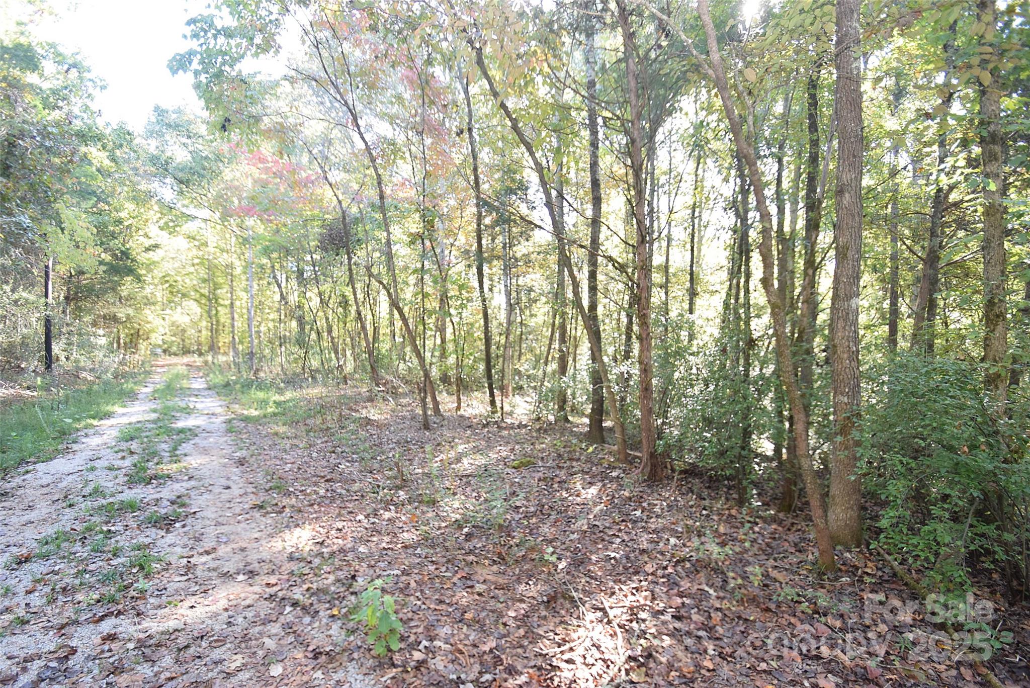 0000 Mcelroy Road 168 Property Photo 6