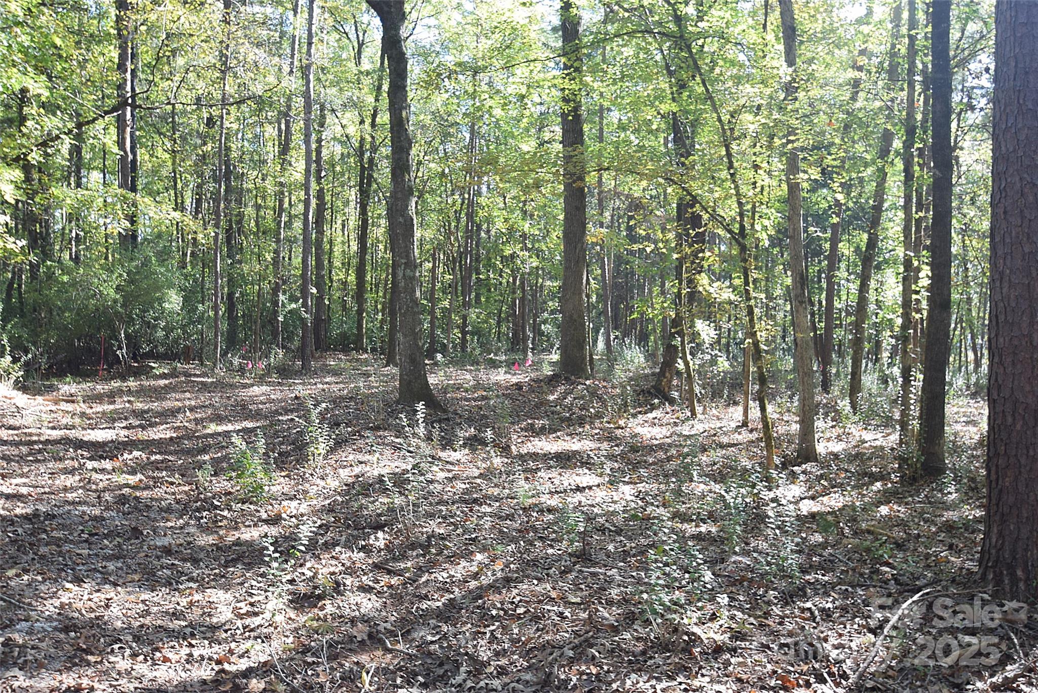 0000 Mcelroy Road 168 Property Photo 12