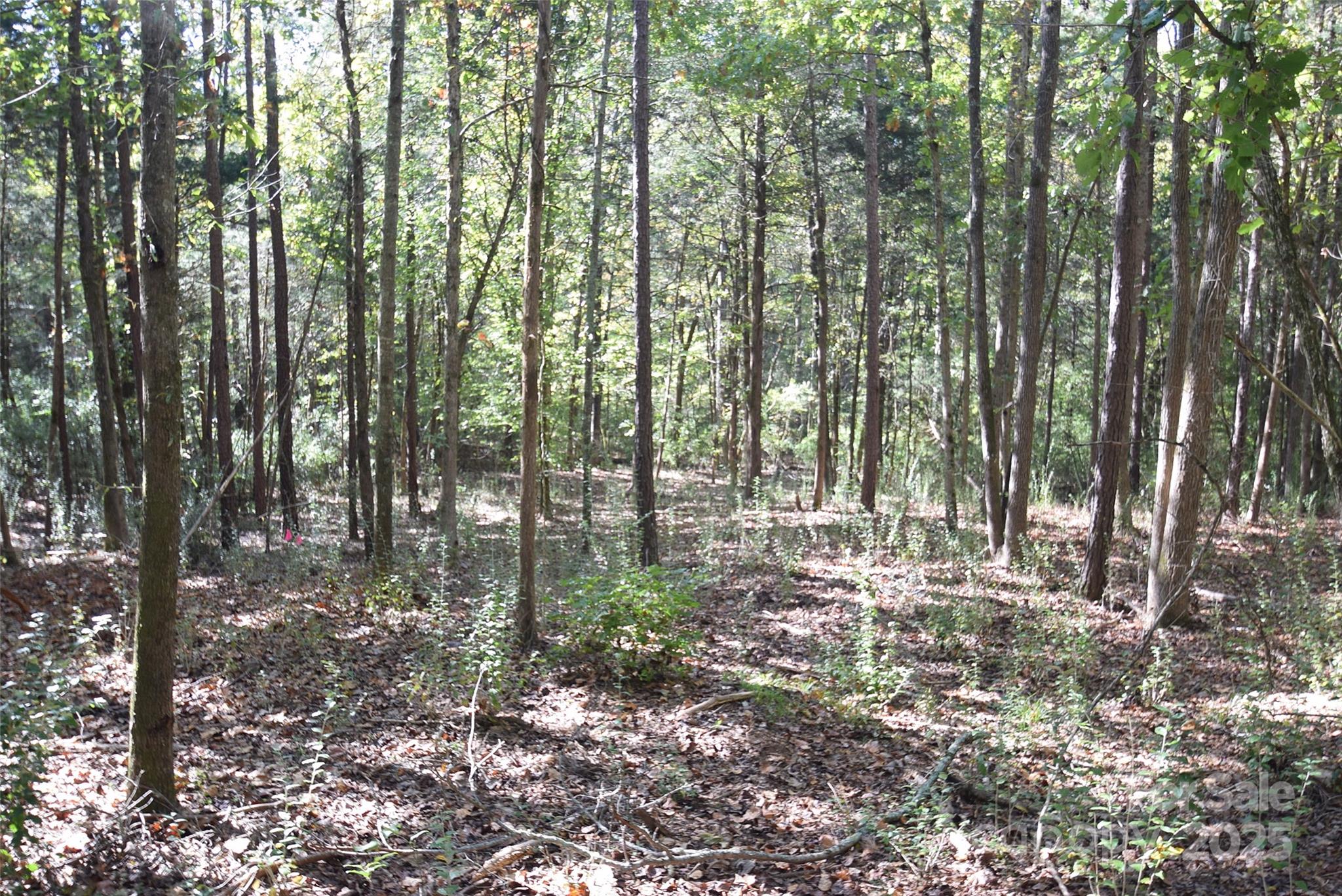 0000 Mcelroy Road 168 Property Photo 13