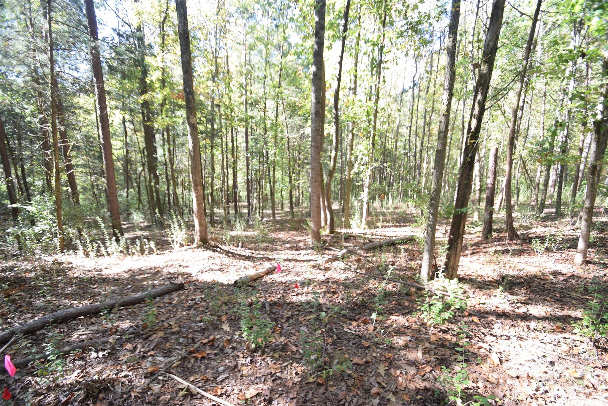 0000 Mcelroy Road 168 Property Photo 14
