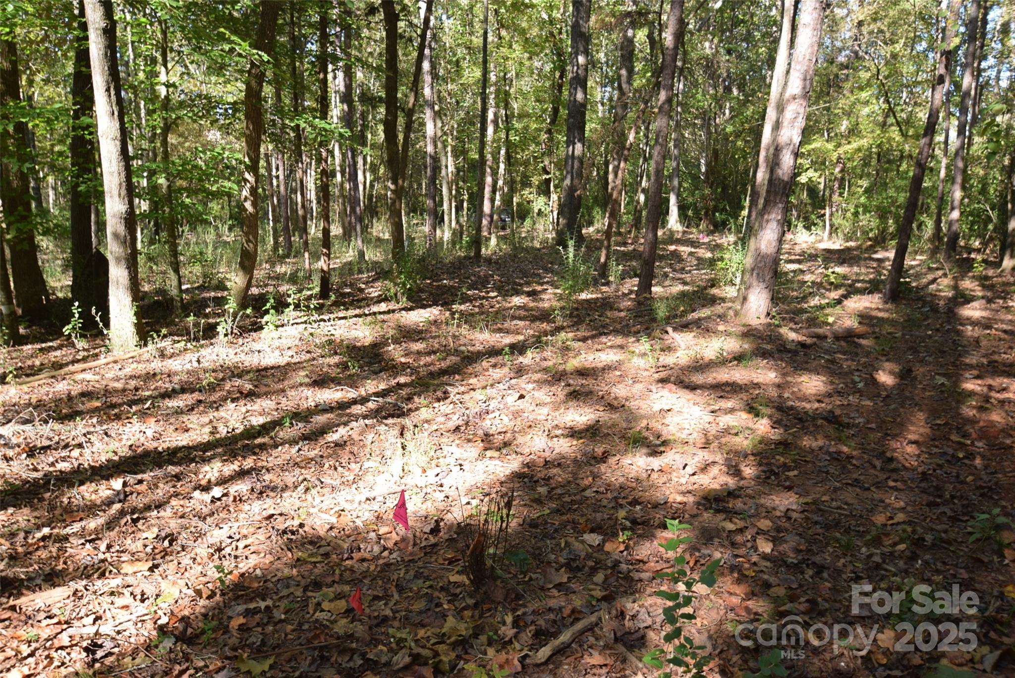 0000 Mcelroy Road 168 Property Photo 15