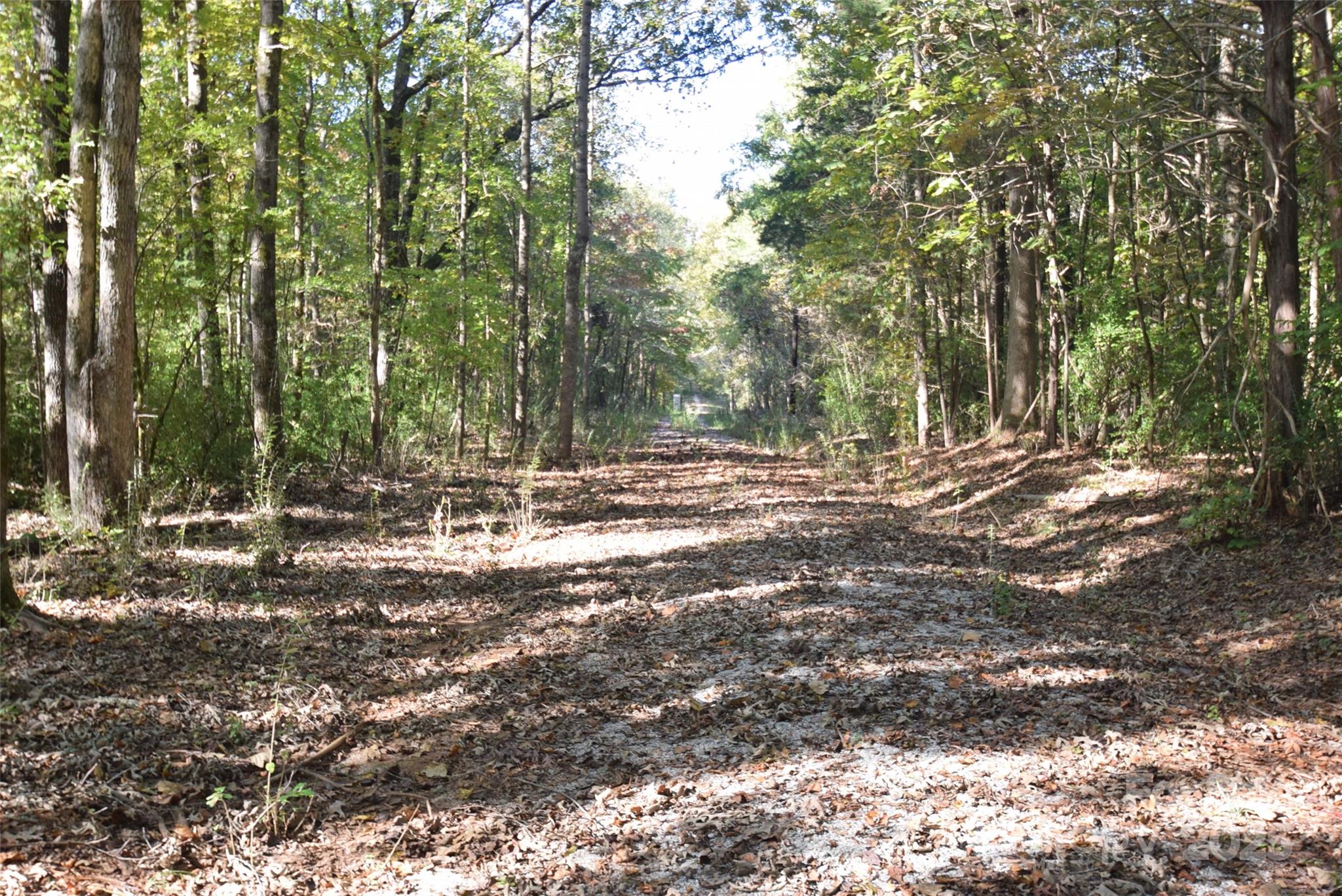 0000 Mcelroy Road 168 Property Photo 18