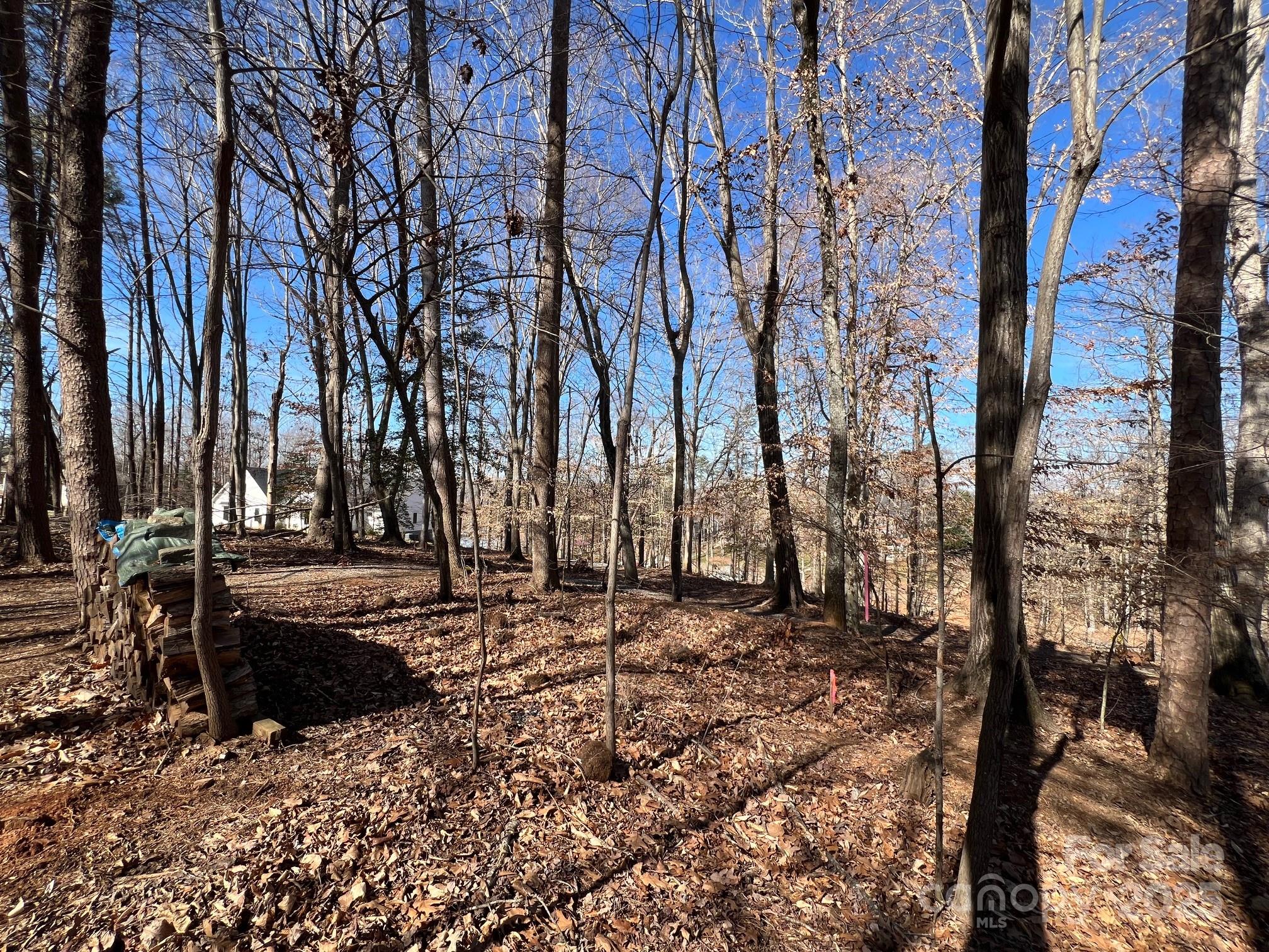 170 Windwood Lane Property Photo 14