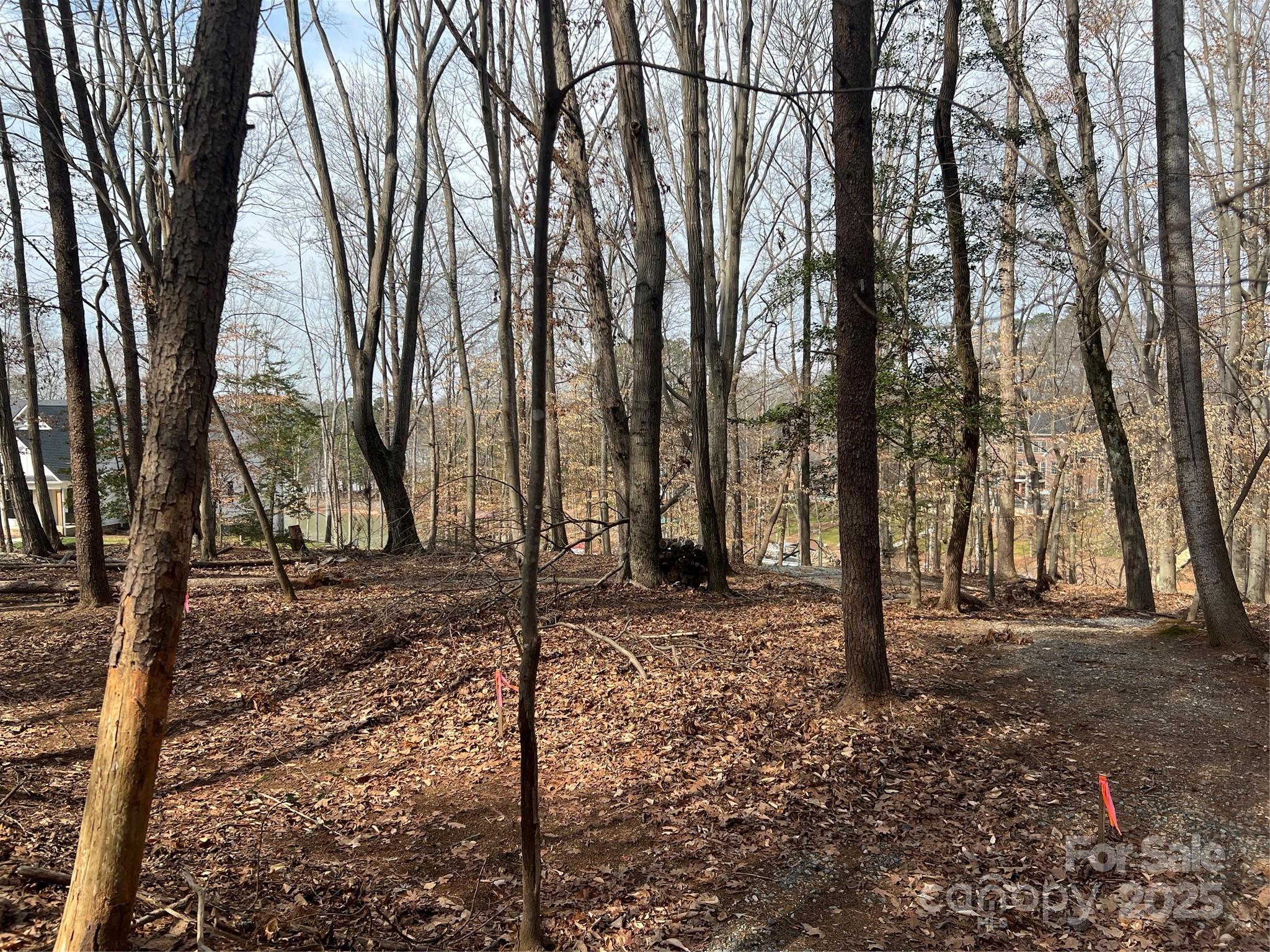 170 Windwood Lane Property Photo 21