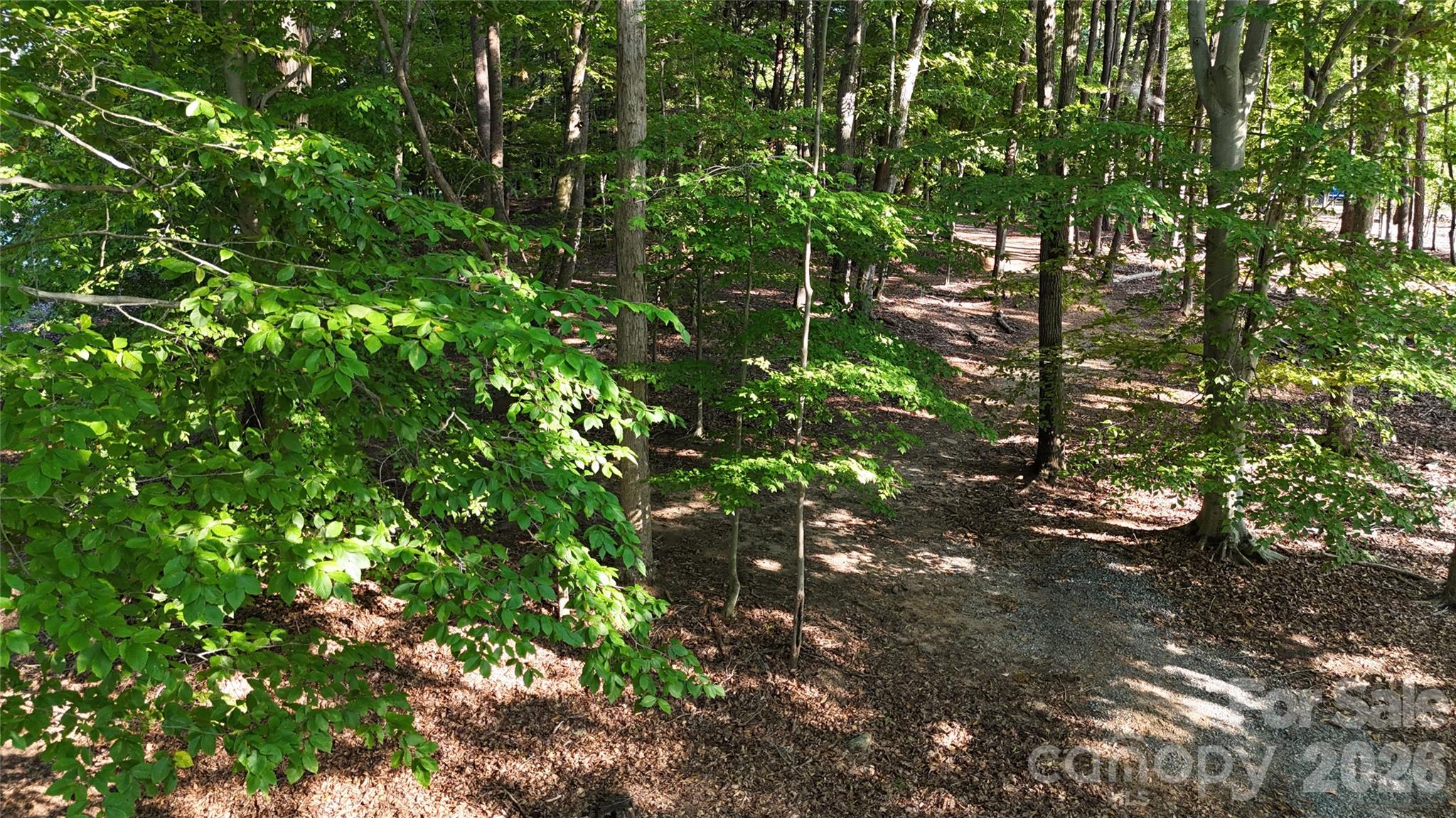 170 Windwood Lane Property Photo 33