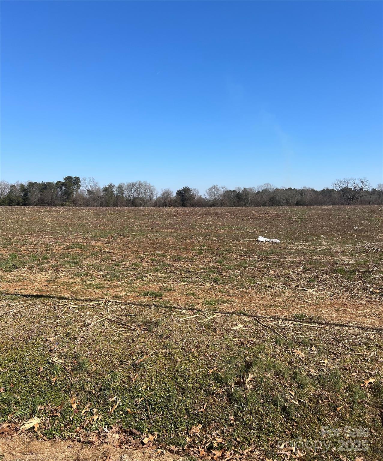 0 Mcbrayer Homestead Road Property Photo