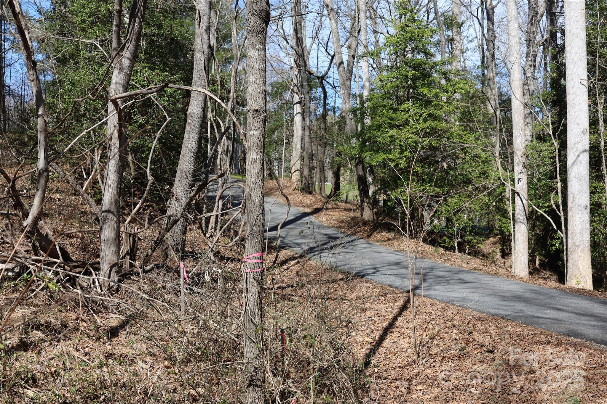 00 Crappie Hollow Lane Property Photo 9