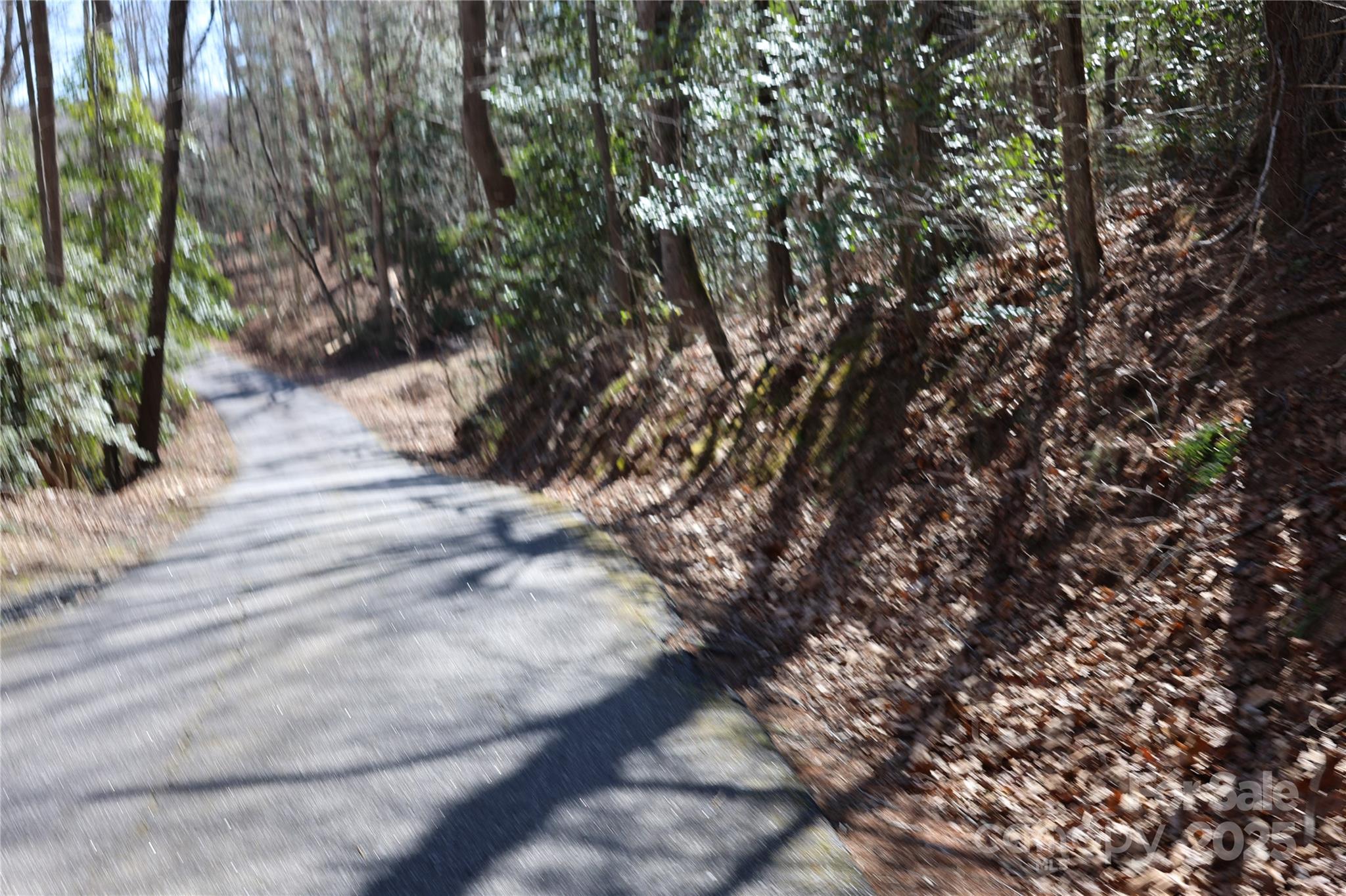 00 Crappie Hollow Lane Property Photo 10