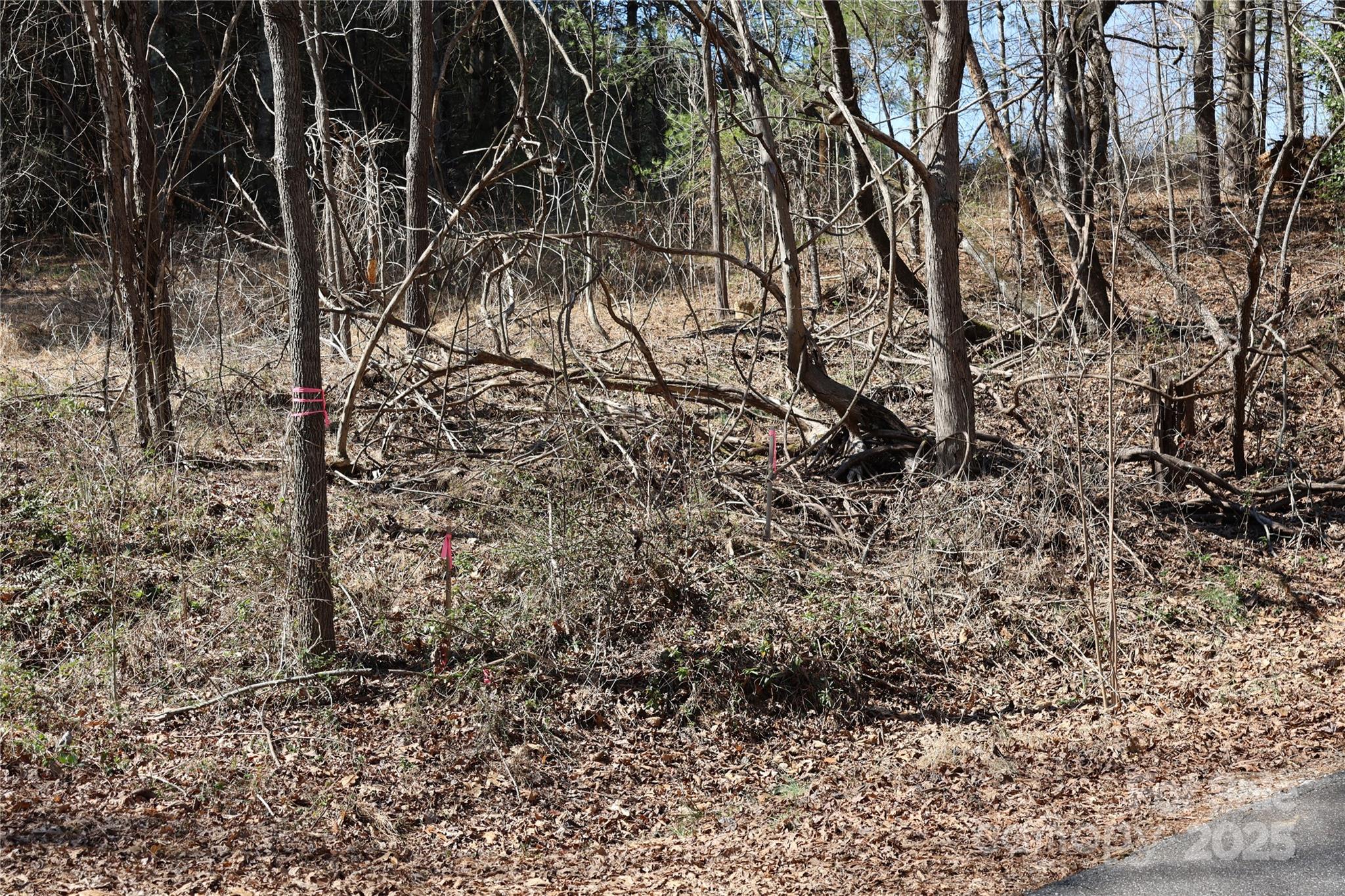 00 Crappie Hollow Lane Property Photo 11