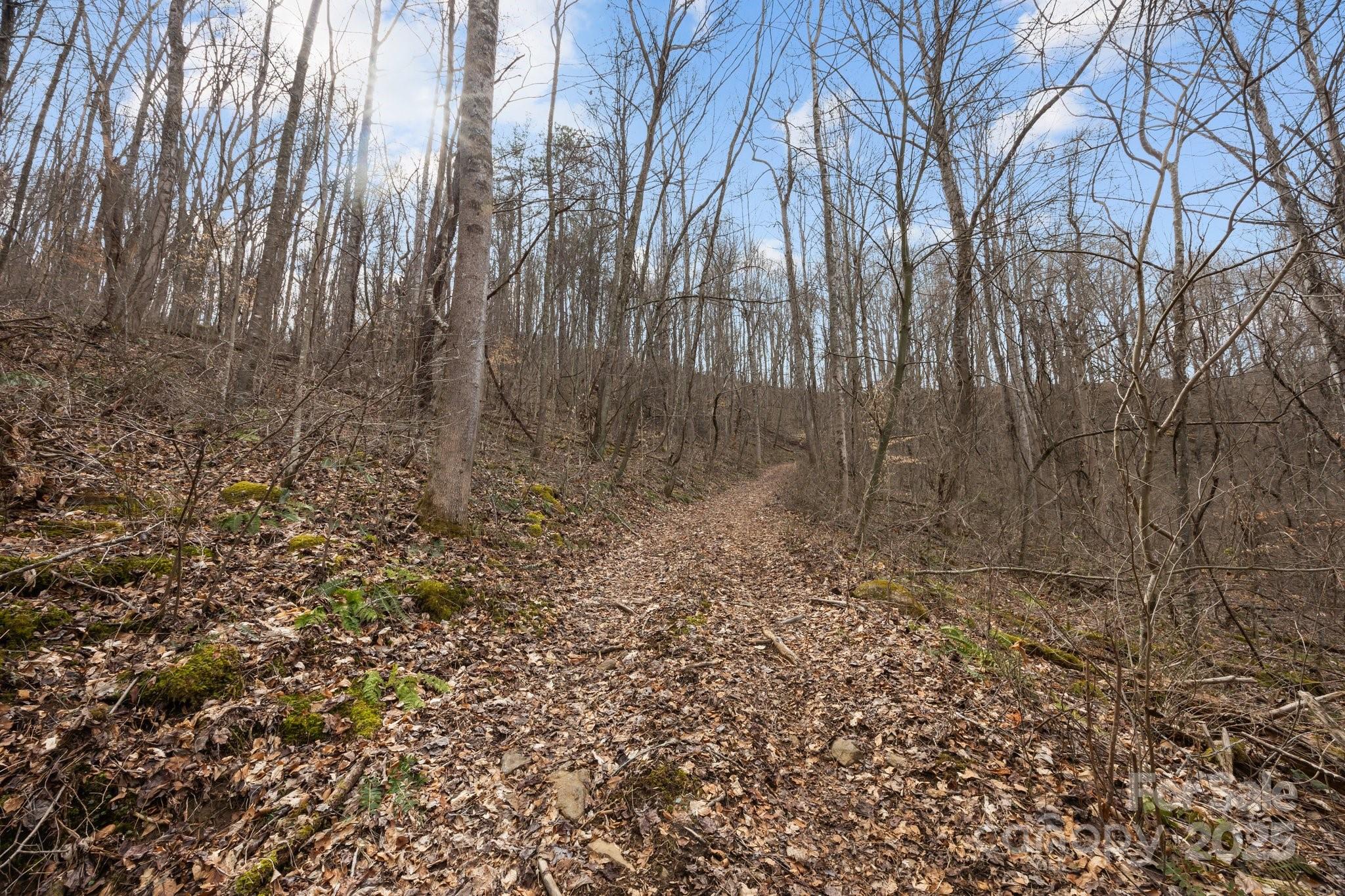 00 Haynes Cove Road Property Photo 9