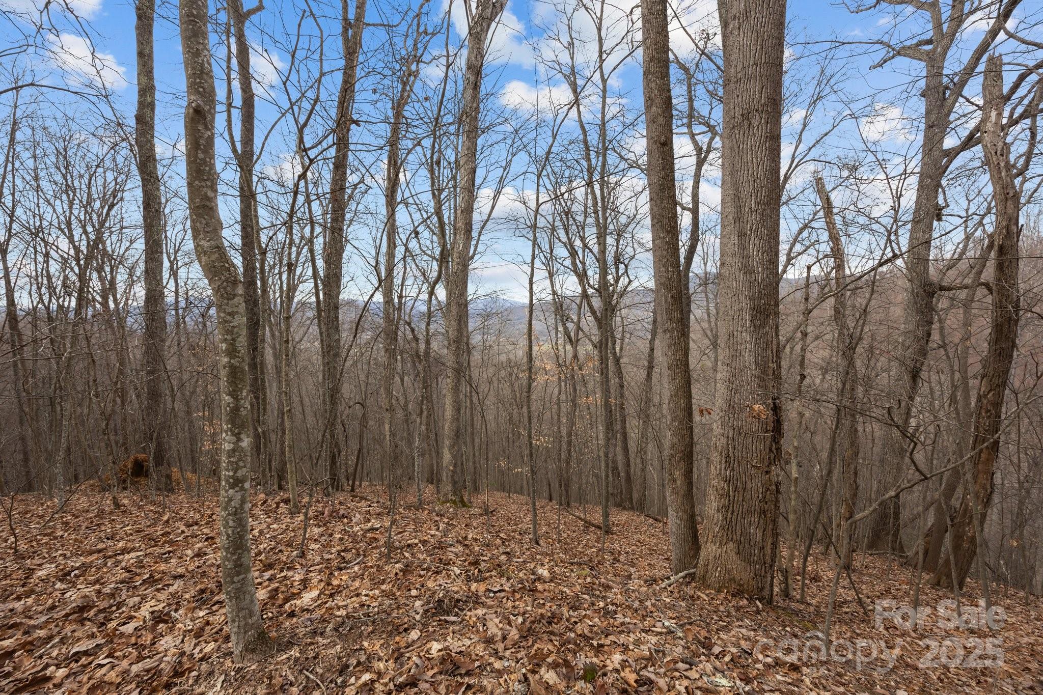 00 Haynes Cove Road Property Photo 10